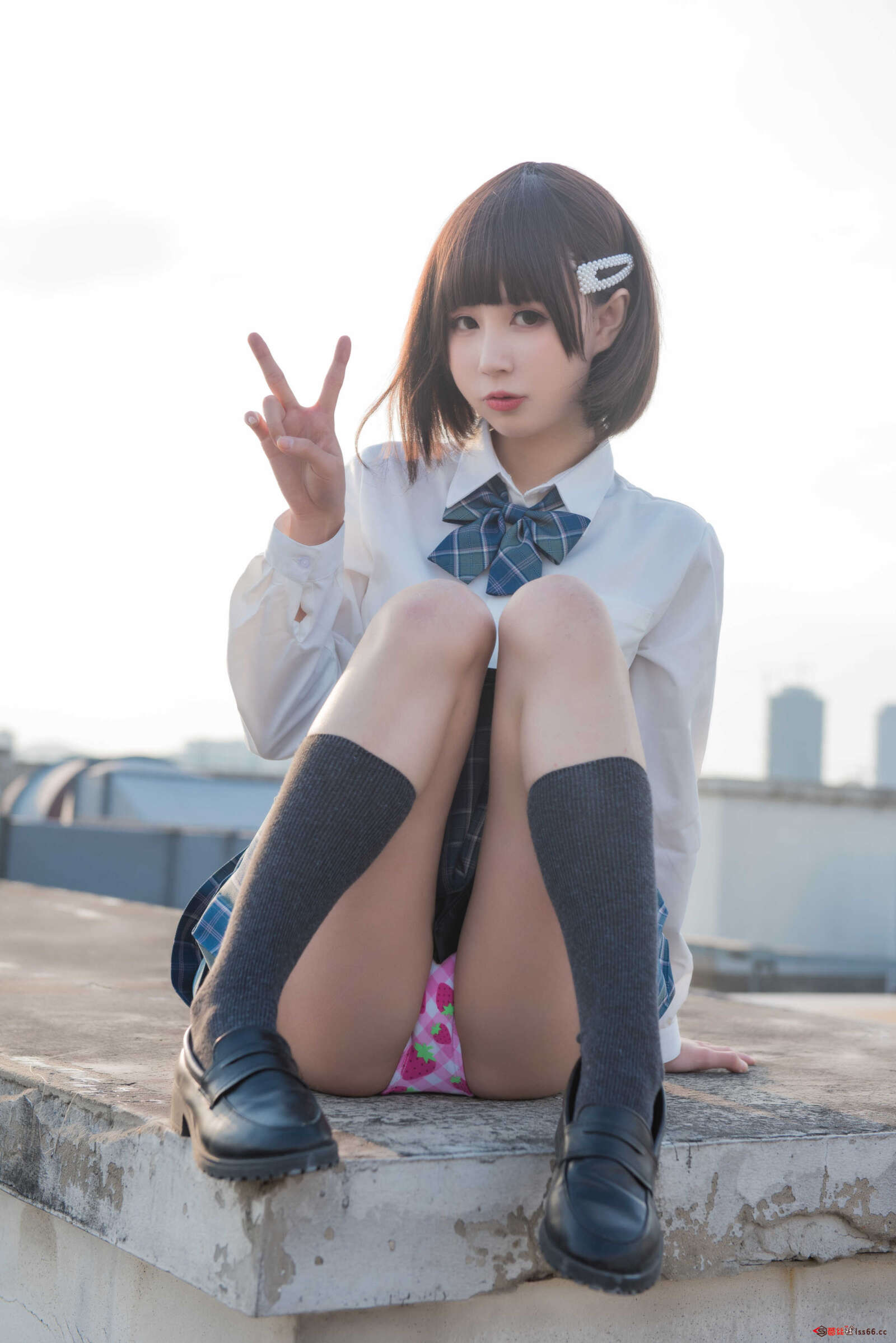 https://www.lss77.com/wp-content/uploads/2021/03/R-10-339-1600x2397.jpg