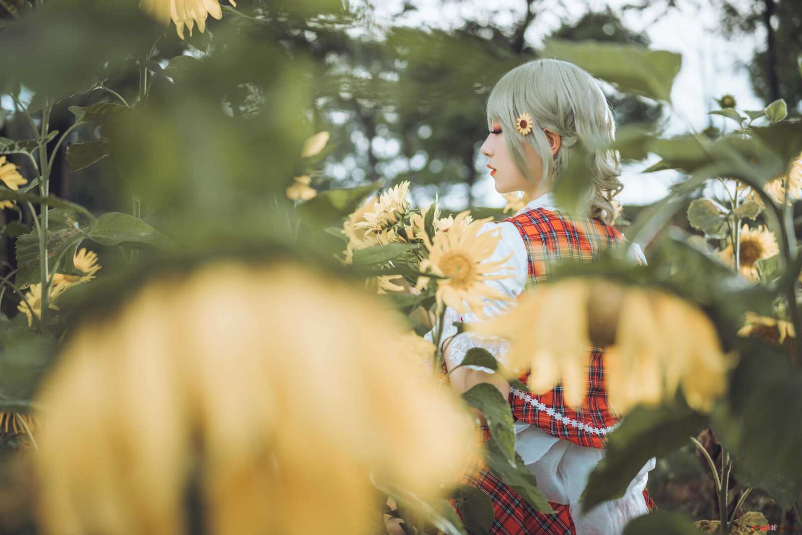 https://www.lss77.com/wp-content/uploads/2021/03/R-15-159-1600x1067.jpg