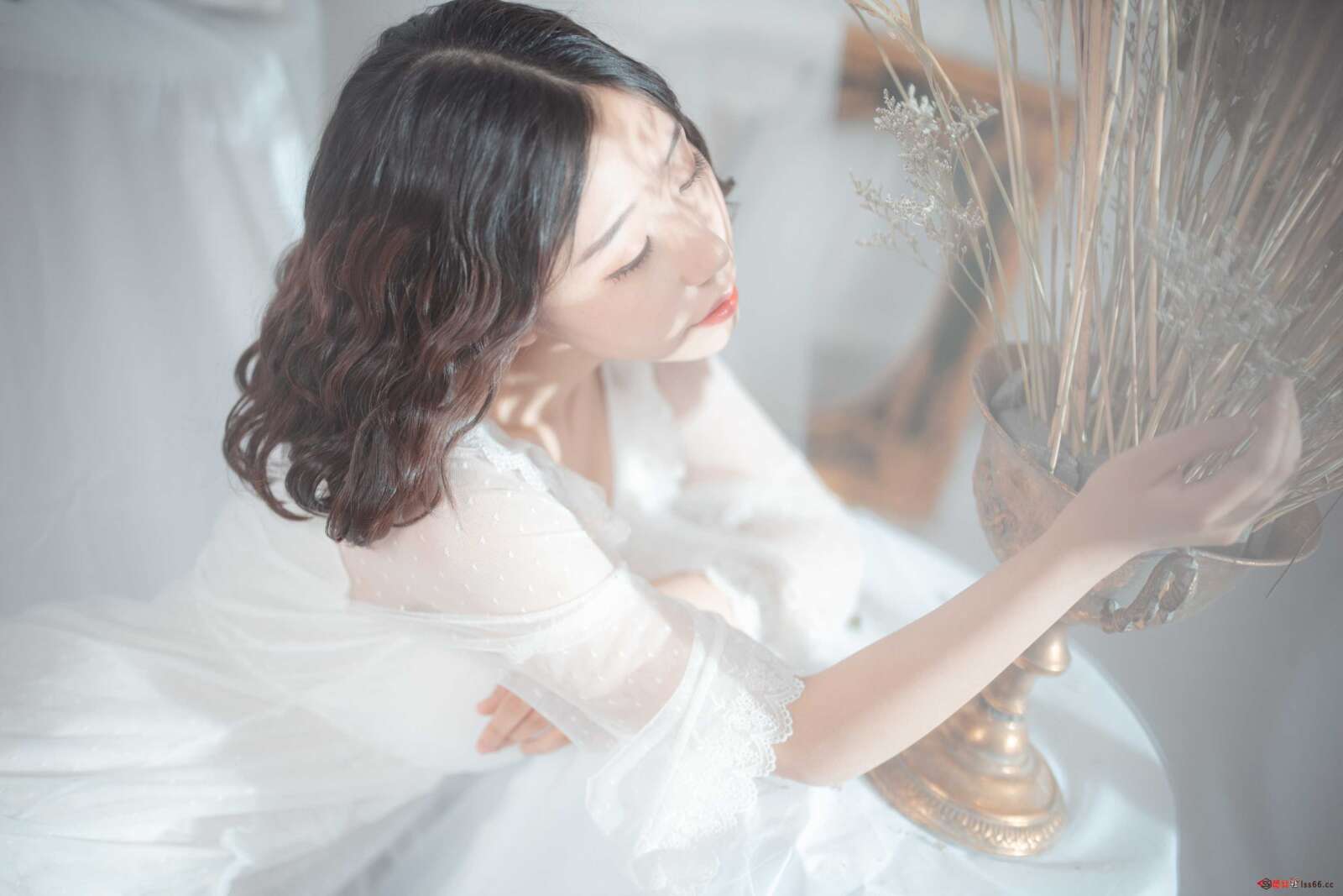 https://www.lss77.com/wp-content/uploads/2021/03/R-2-229-1600x1067.jpg
