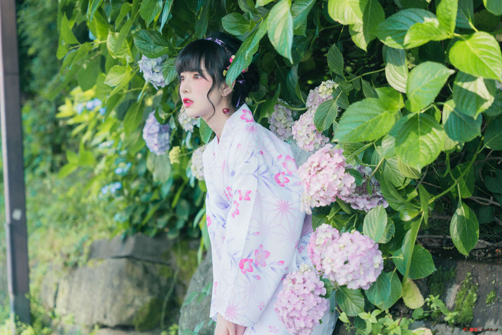 https://www.lss77.com/wp-content/uploads/2021/03/R-2-231-1600x1067.jpg