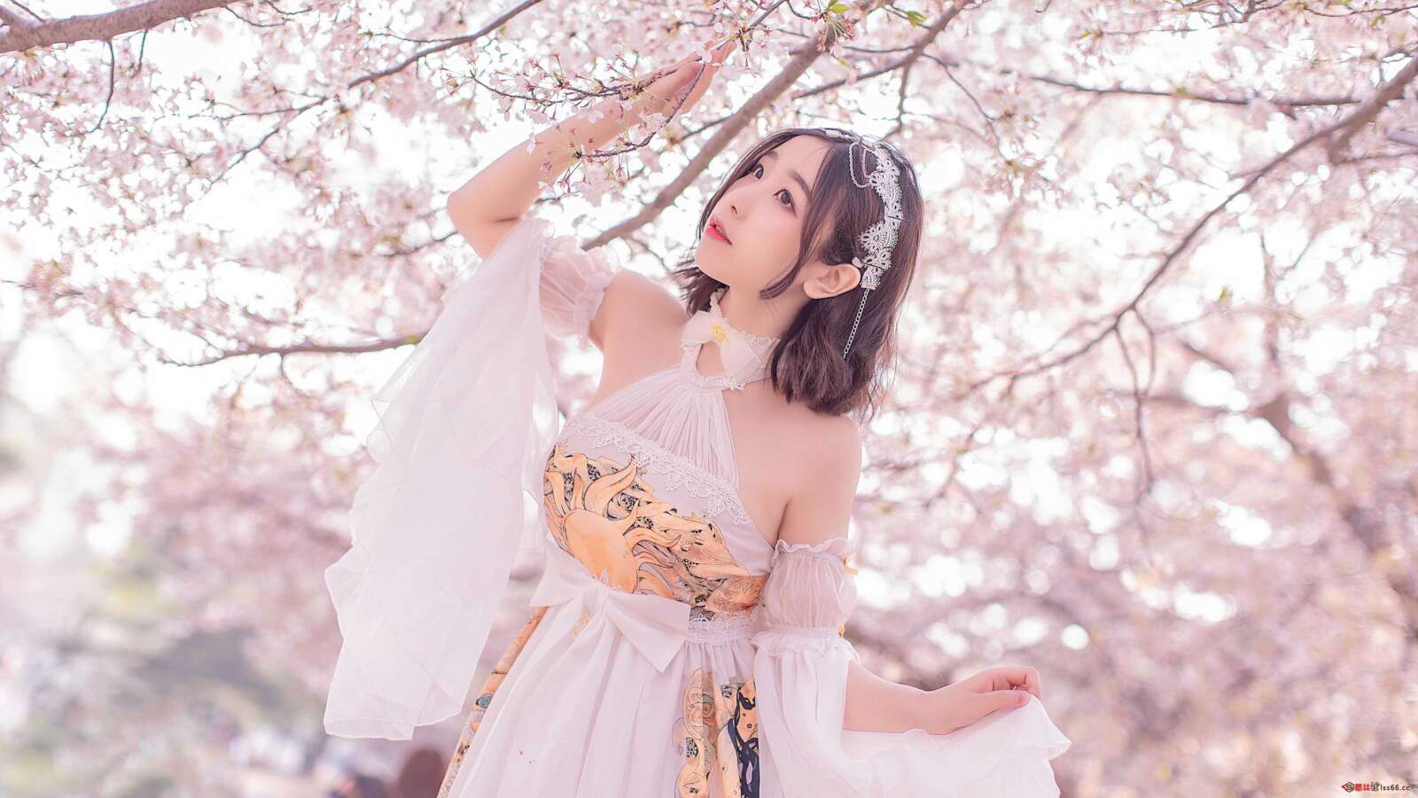 https://www.lss77.com/wp-content/uploads/2021/03/R-3-272-1600x900.jpg
