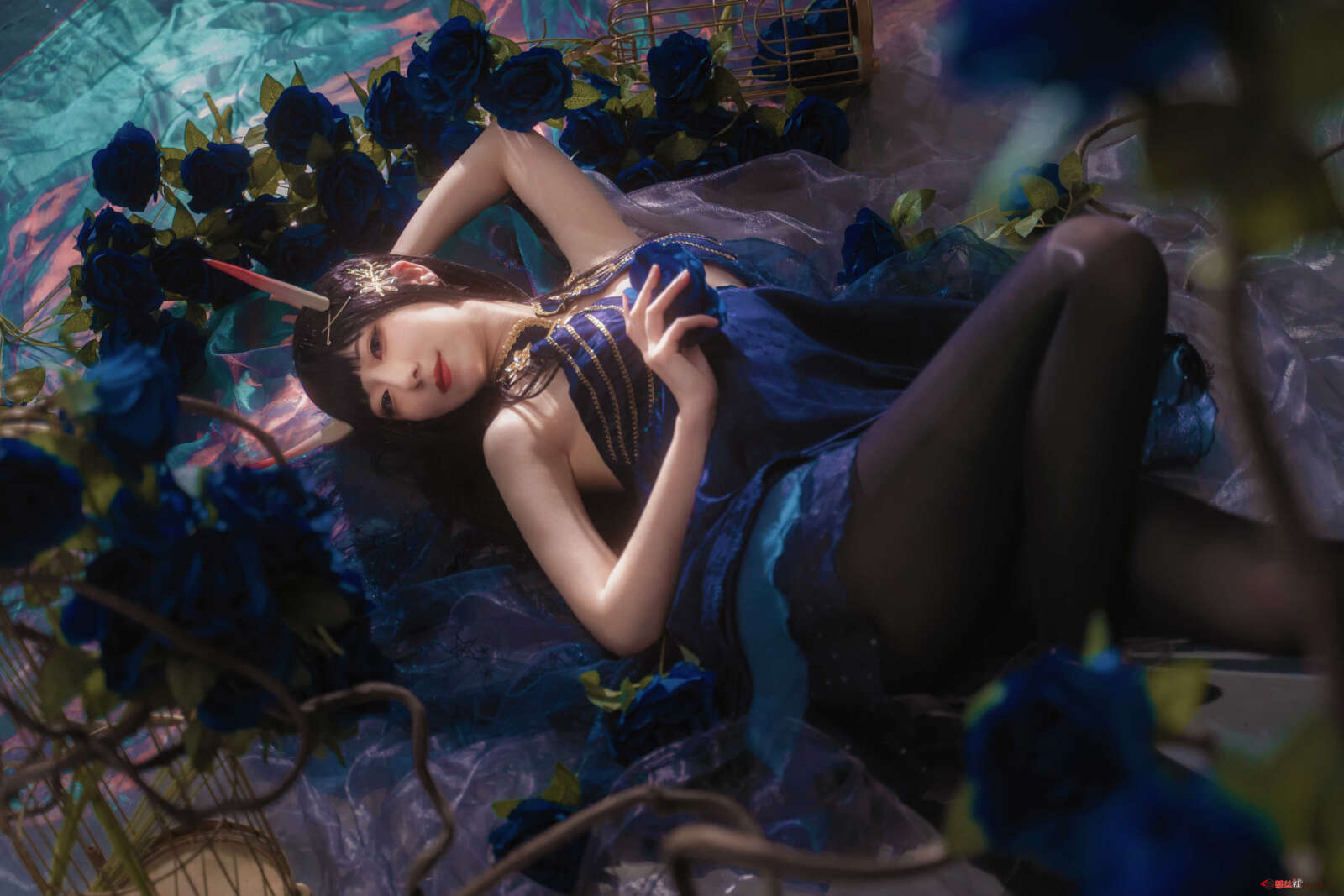 https://www.lss77.com/wp-content/uploads/2021/03/R-4-218-1600x1067.jpg