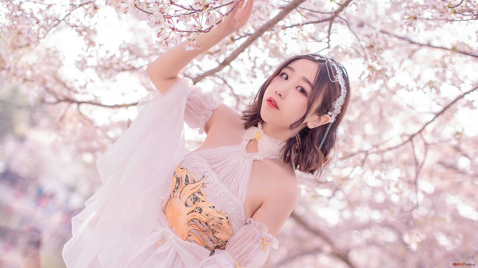 https://www.lss77.com/wp-content/uploads/2021/03/R-4-272-1600x900.jpg