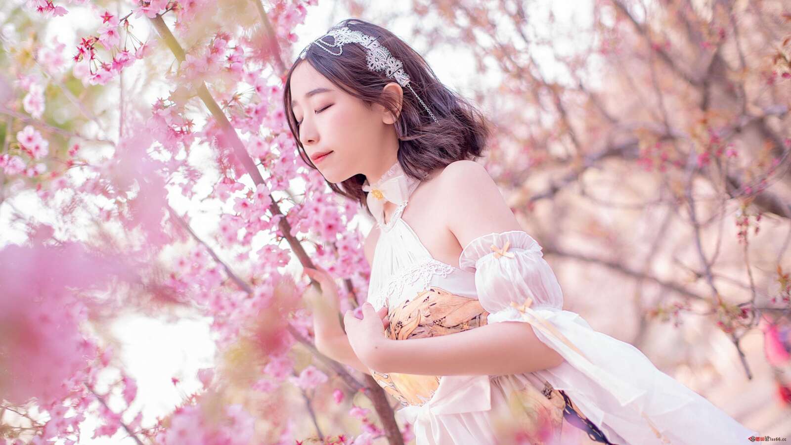 https://www.lss77.com/wp-content/uploads/2021/03/R-5-272-1600x900.jpg