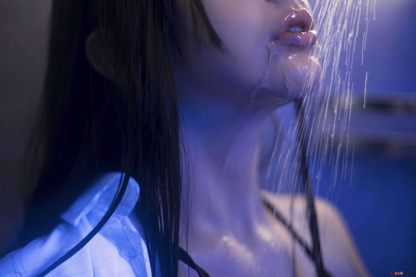 https://www.lss77.com/wp-content/uploads/2021/03/R-5-429-1600x1067.jpg