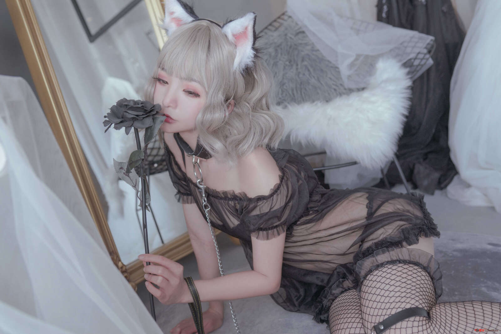 https://www.lss77.com/wp-content/uploads/2021/03/R-6-324-1600x1067.jpg