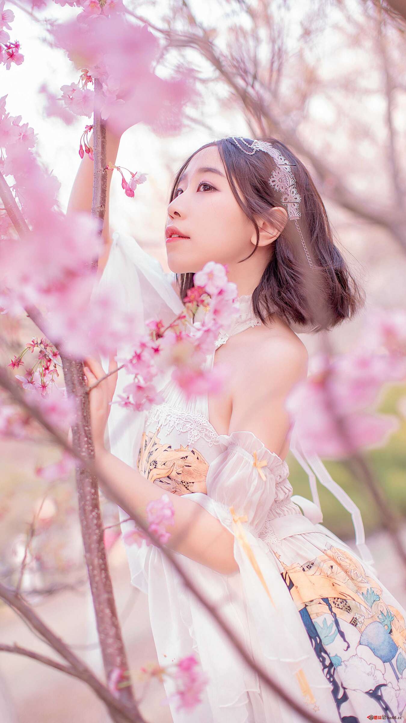 https://www.lss77.com/wp-content/uploads/2021/03/R-7-268-1350x2400.jpg