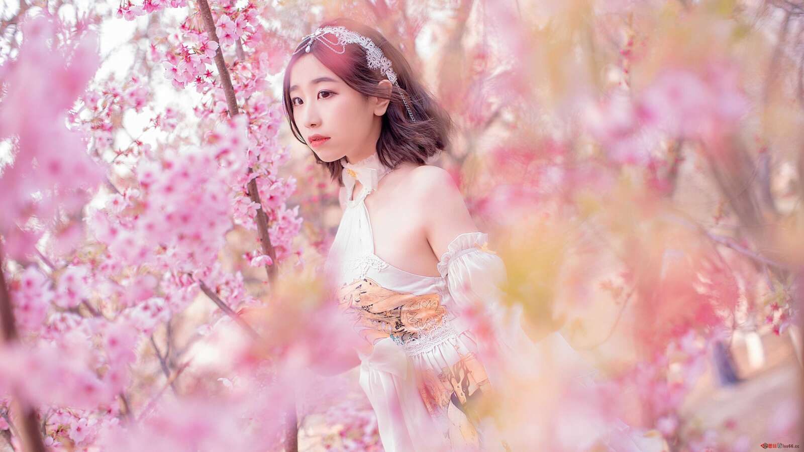 https://www.lss77.com/wp-content/uploads/2021/03/R-8-257-1600x900.jpg
