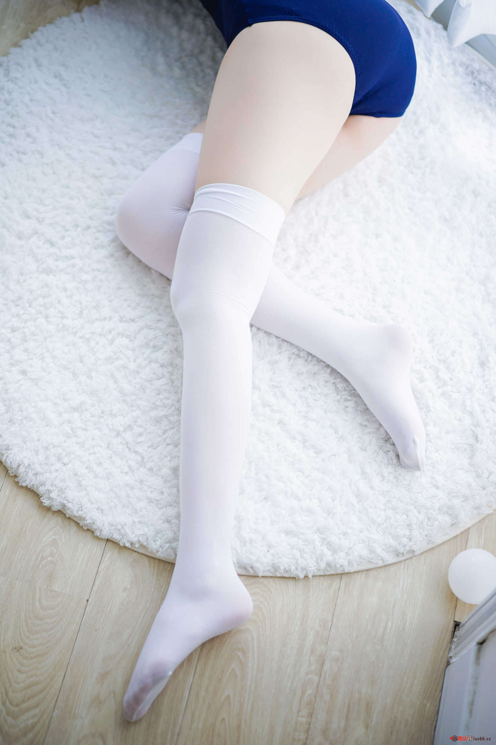 https://www.lss77.com/wp-content/uploads/2021/03/R-8-260-1600x2400.jpg