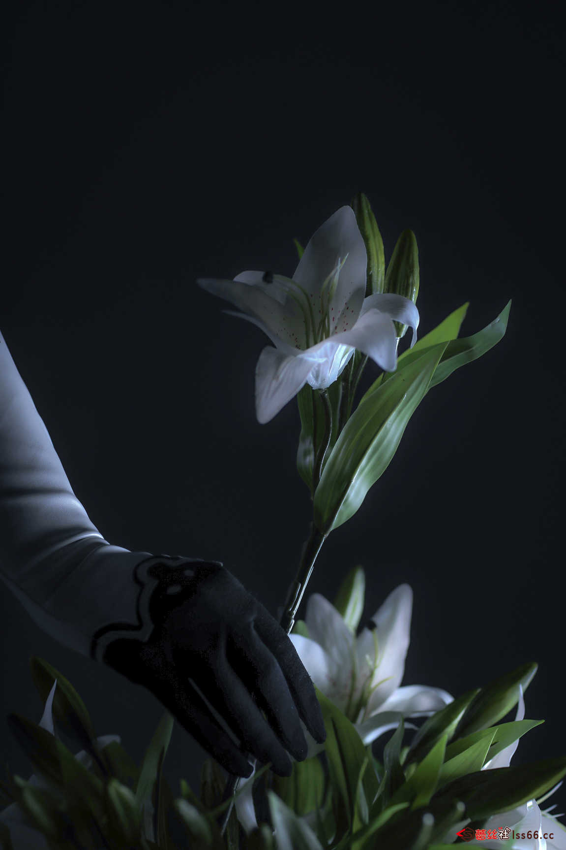 https://www.lss77.com/wp-content/uploads/2021/03/R-8-402.jpg