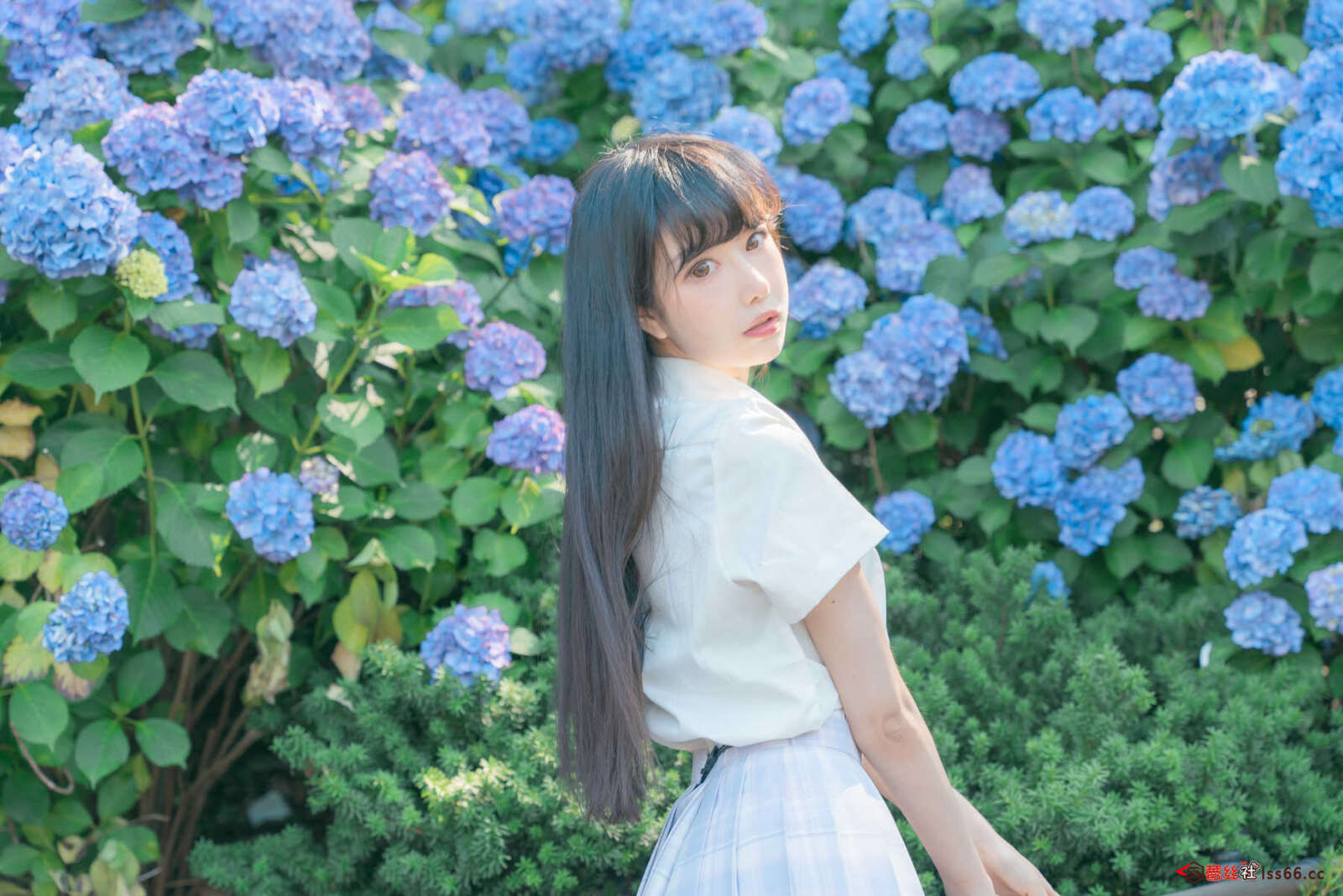 https://www.lss77.com/wp-content/uploads/2021/03/R-9-236-1600x1068.jpg