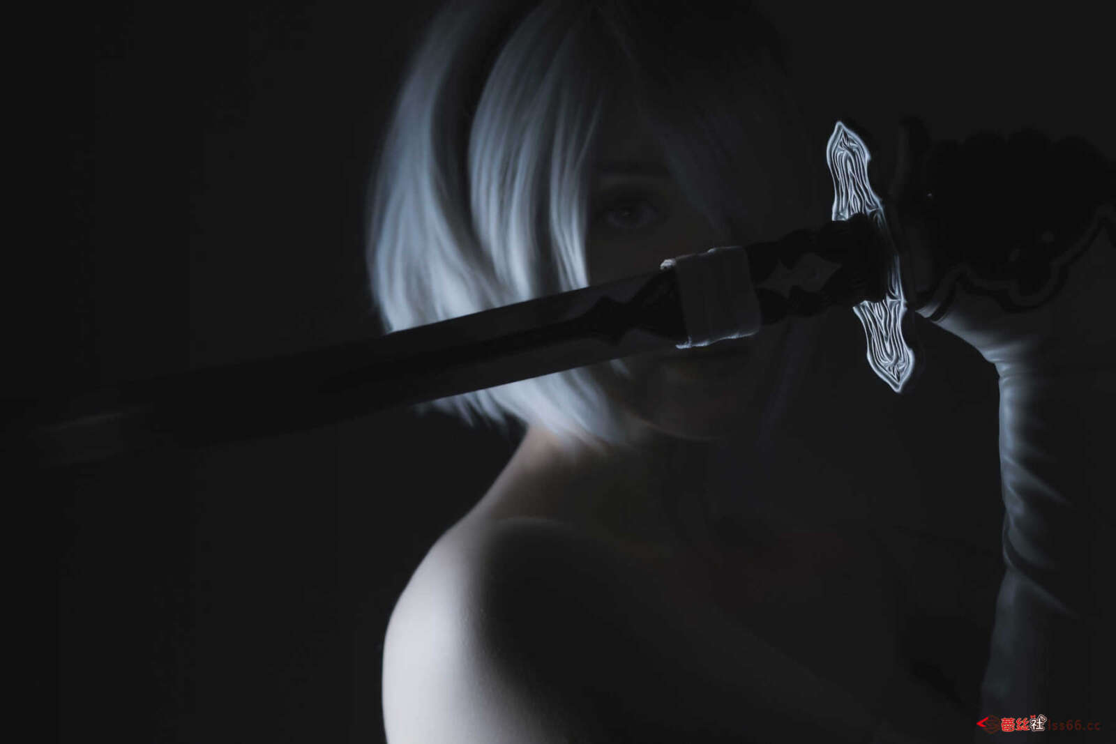 https://www.lss77.com/wp-content/uploads/2021/03/R-9-379-1600x1067.jpg