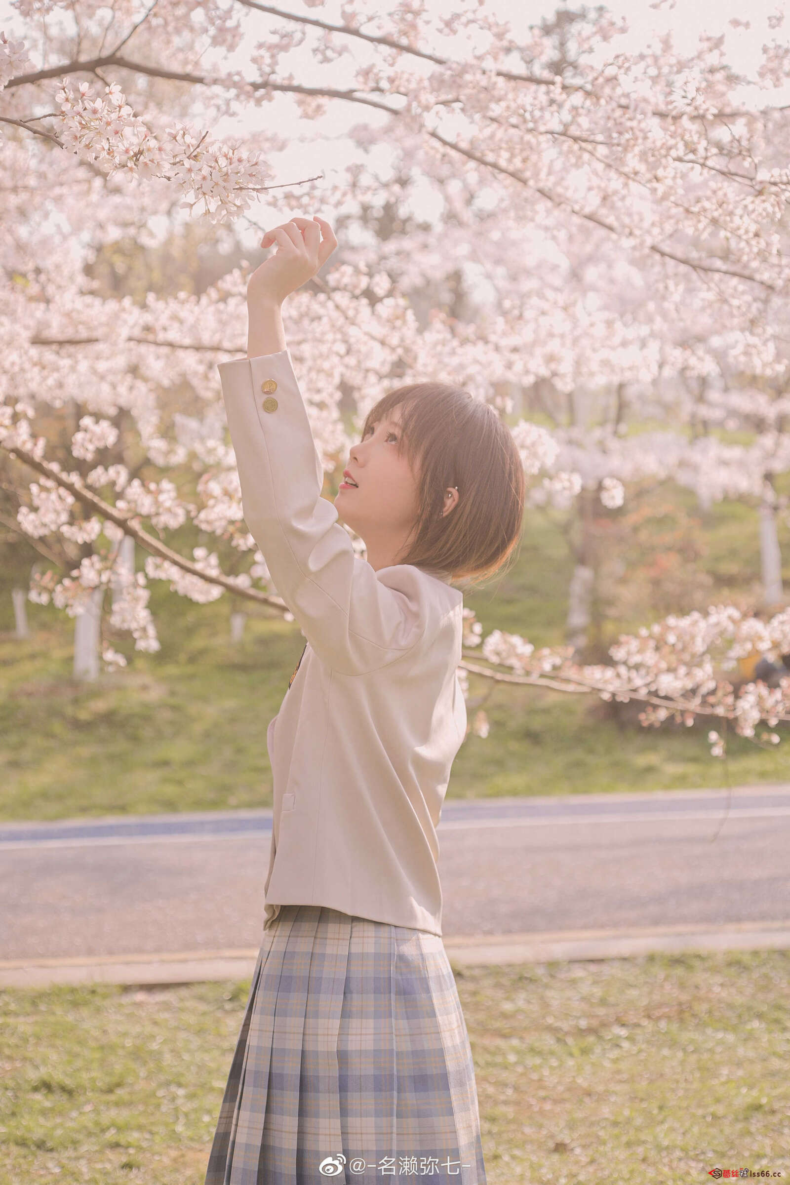 https://www.lss77.com/wp-content/uploads/2021/03/cover-259-1600x2400.jpg
