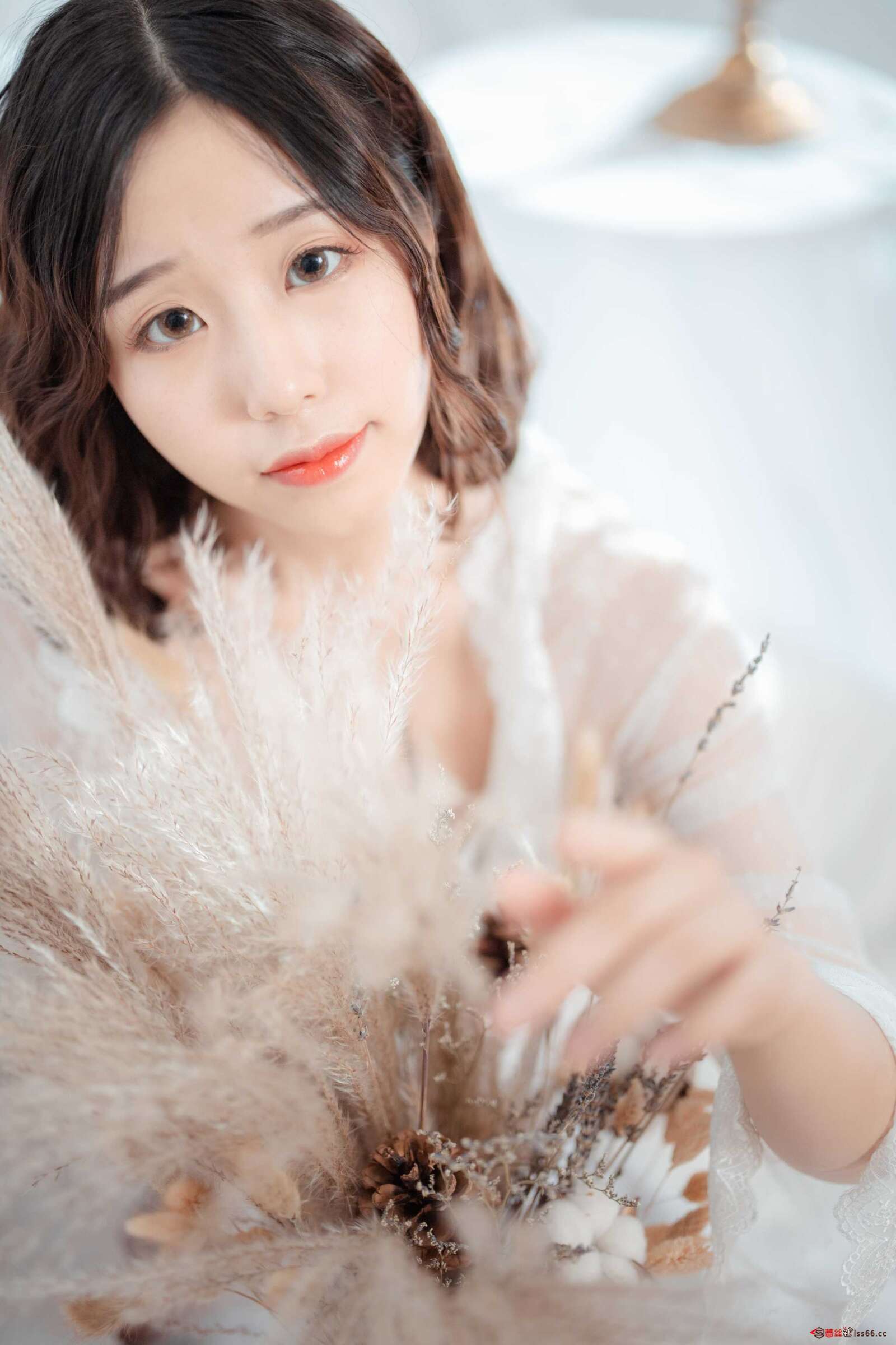 https://www.lss77.com/wp-content/uploads/2021/03/cover-341-1600x2400.jpg