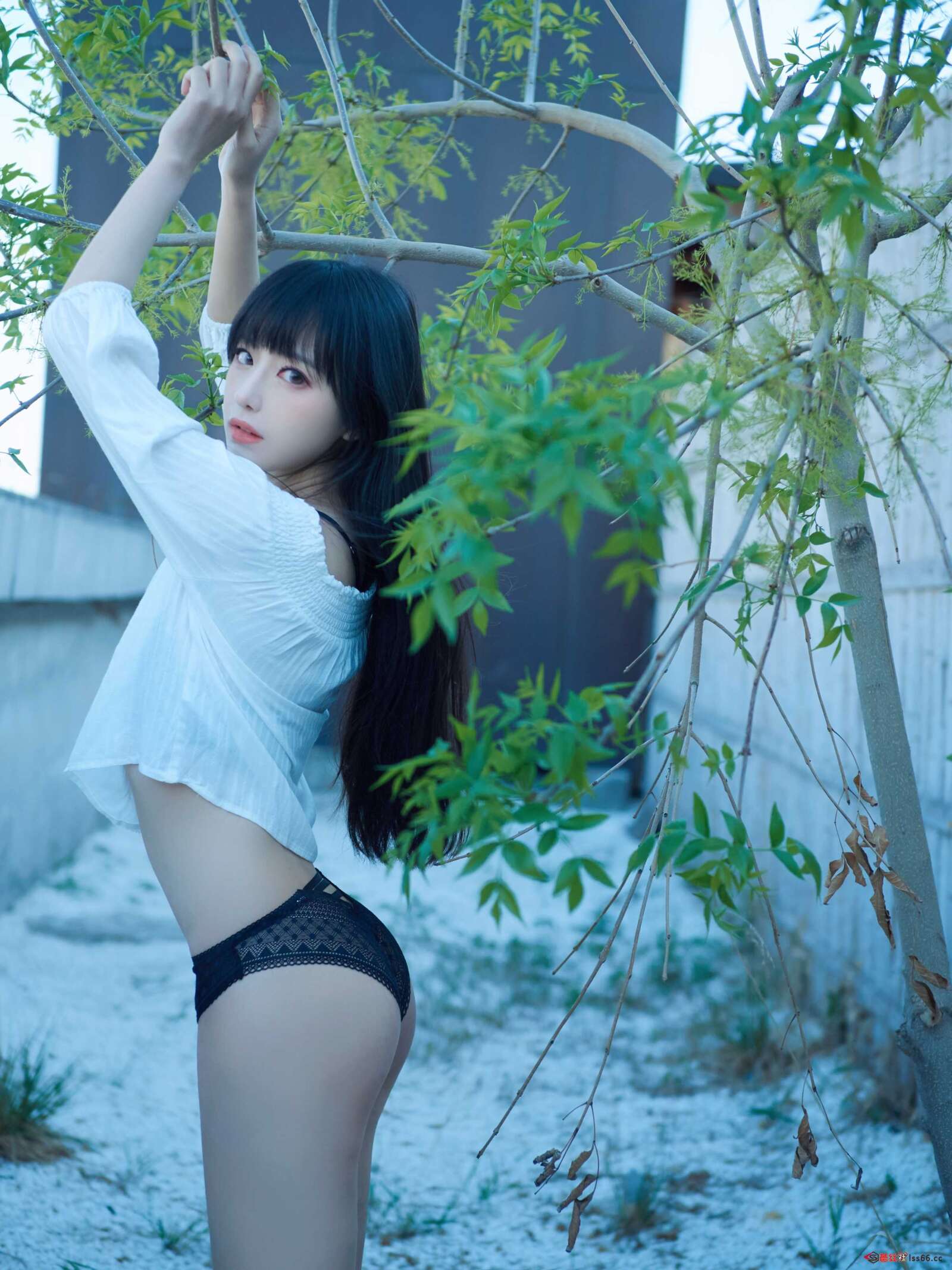 https://www.lss77.com/wp-content/uploads/2021/03/f-6-1600x2134.jpg