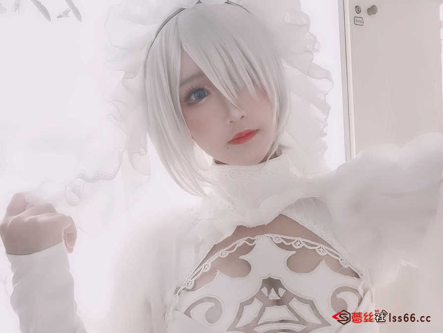 https://www.lss77.com/wp-content/uploads/2021/03/r-24-18.jpg
