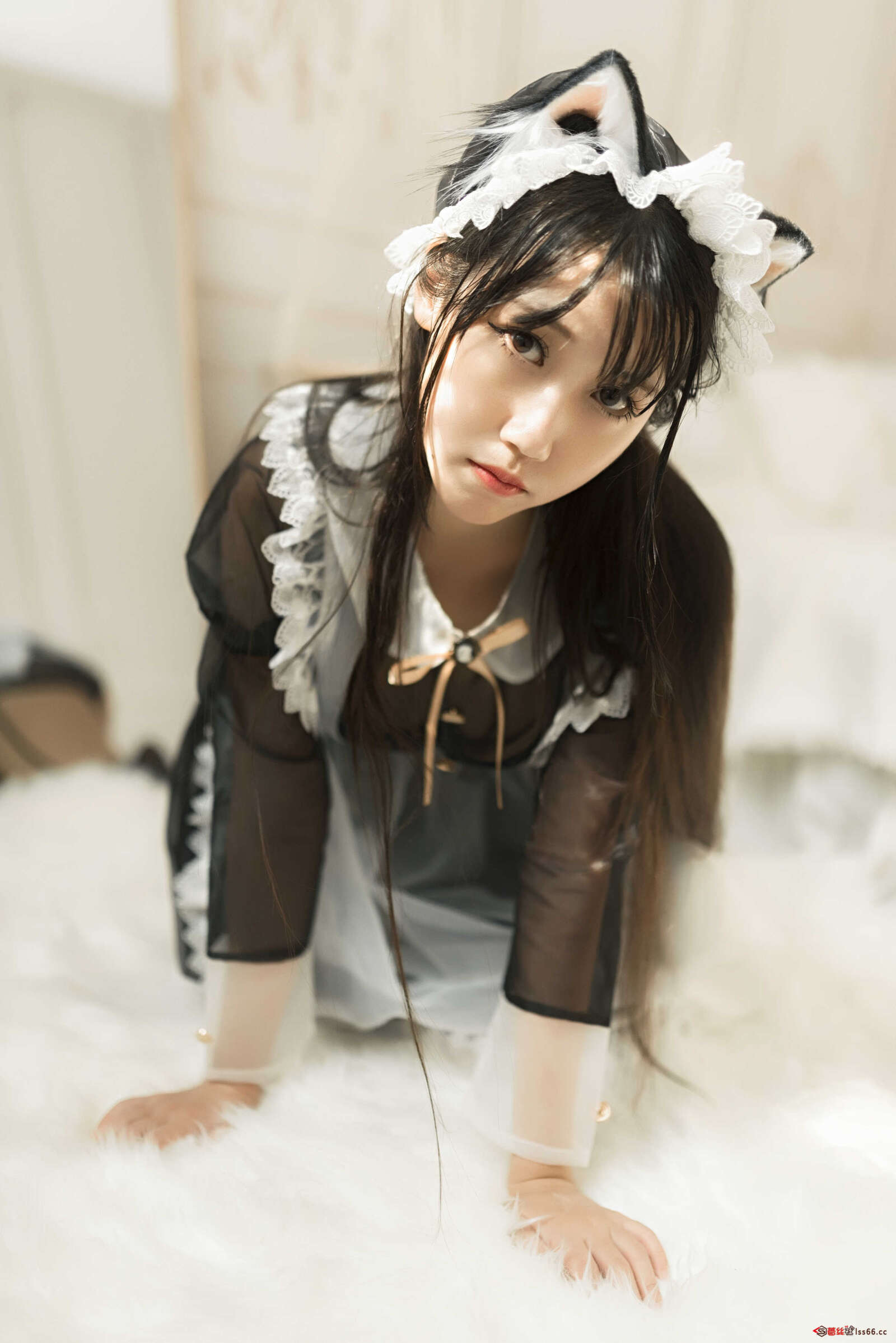 https://www.lss77.com/wp-content/uploads/2021/03/r-24-39-1600x2397.jpg