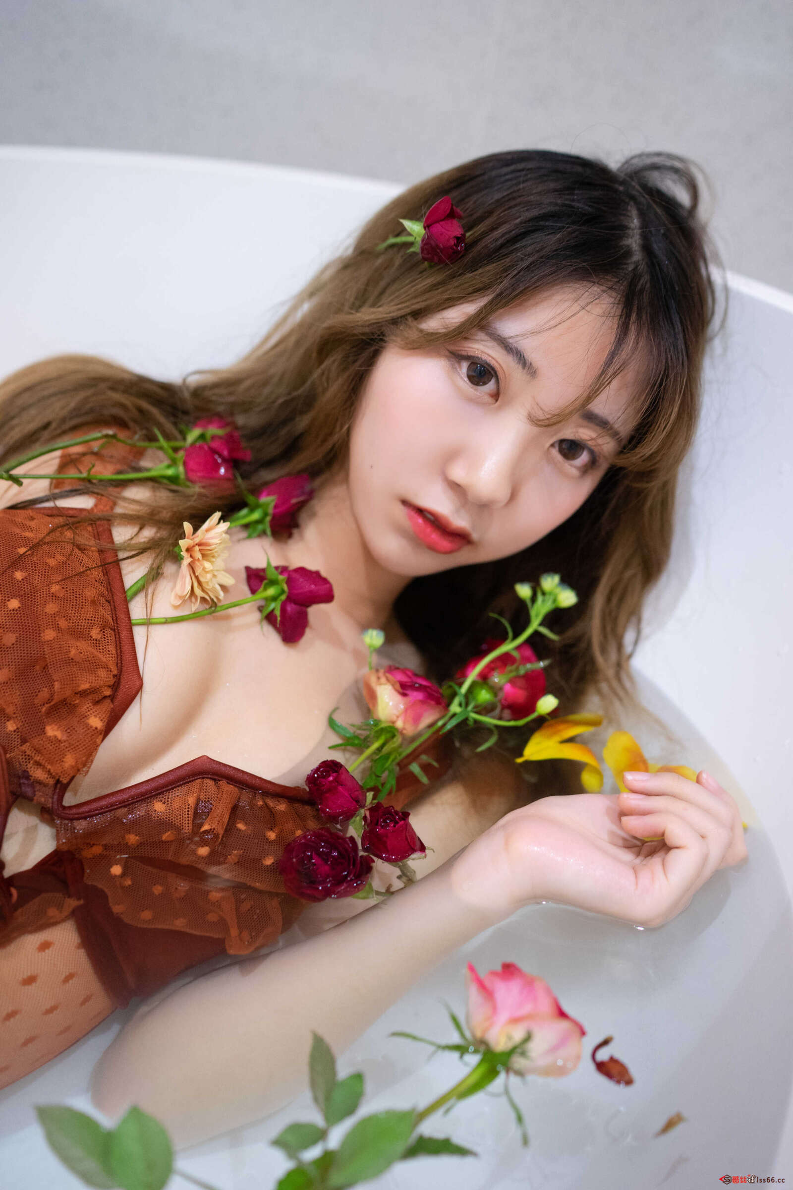 https://www.lss77.com/wp-content/uploads/2021/04/0018-6-1600x2400.jpg