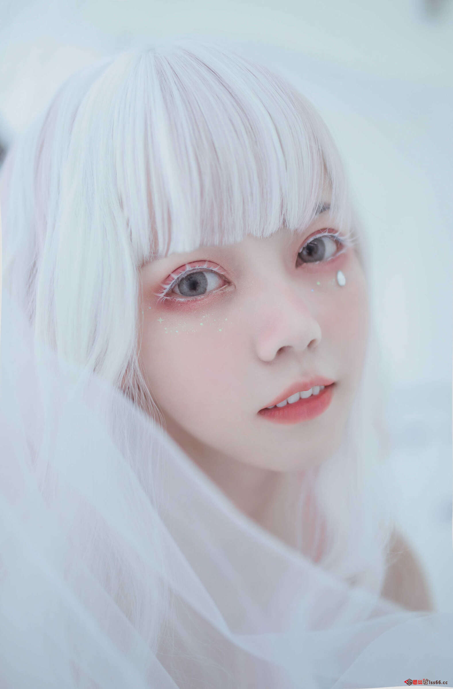 https://www.lss77.com/wp-content/uploads/2021/04/0025-12-1578x2400.jpg