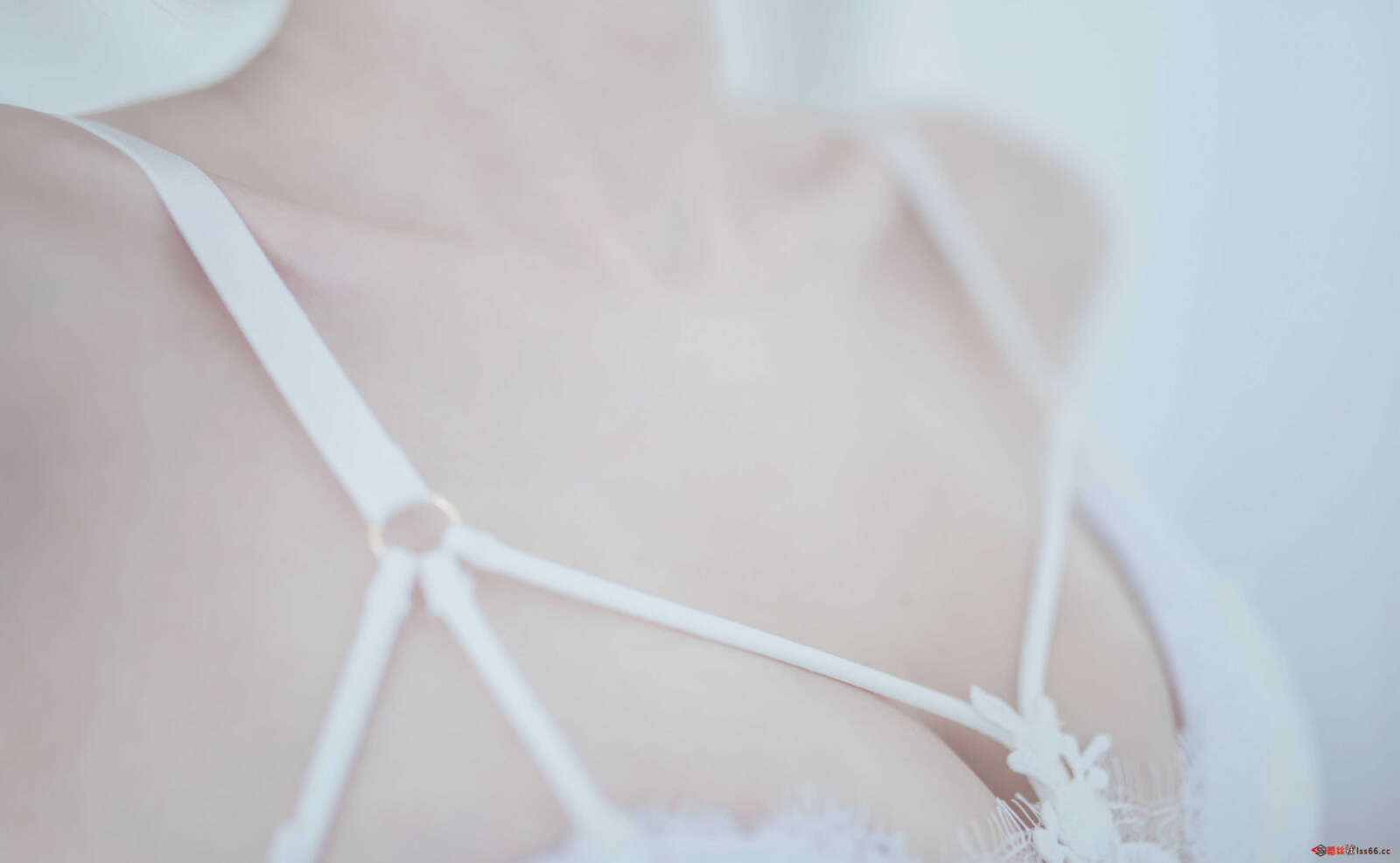https://www.lss77.com/wp-content/uploads/2021/04/0026-11-1600x986.jpg