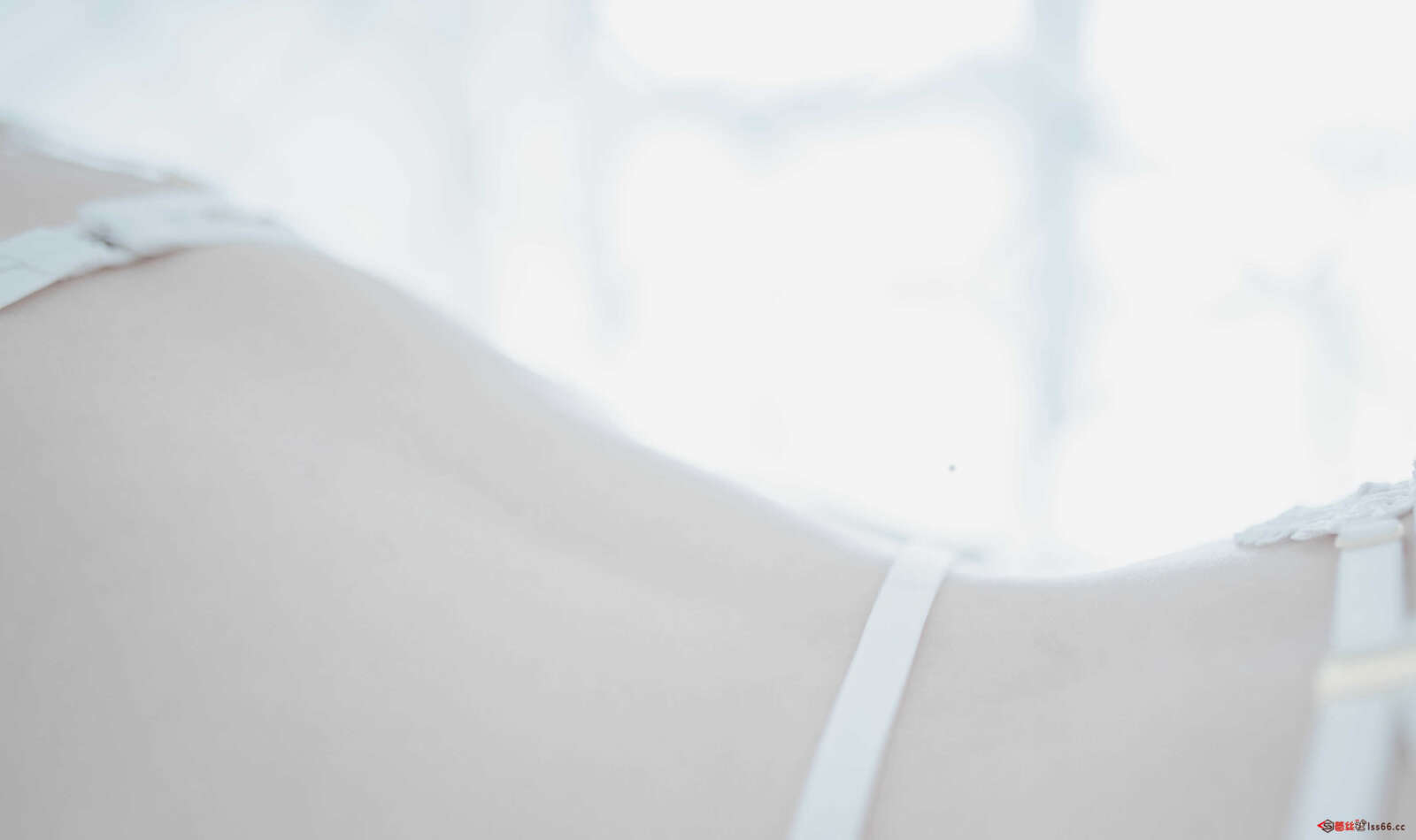 https://www.lss77.com/wp-content/uploads/2021/04/0032-8-1600x950.jpg