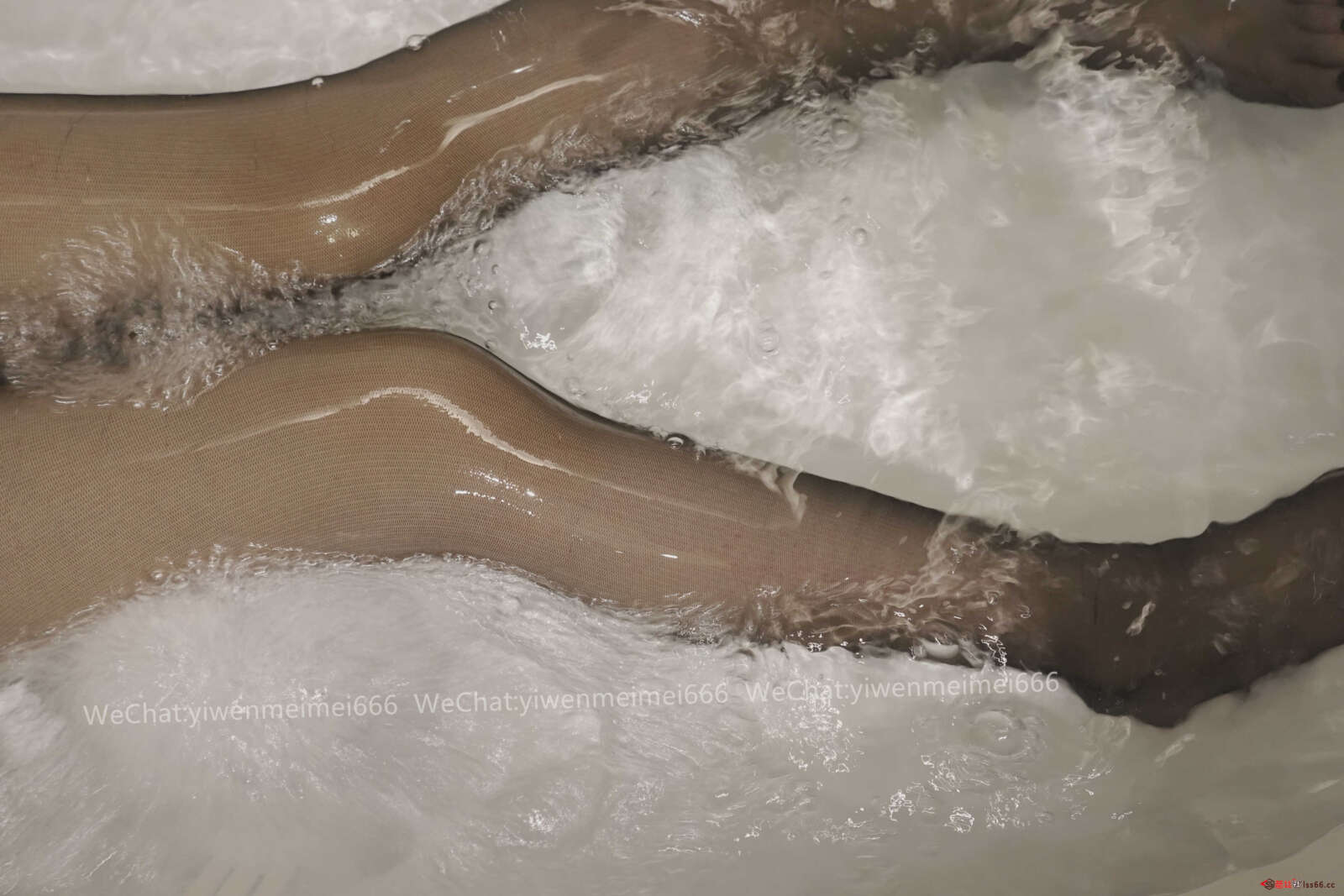 https://www.lss77.com/wp-content/uploads/2021/04/0107-4-1600x1067.jpg