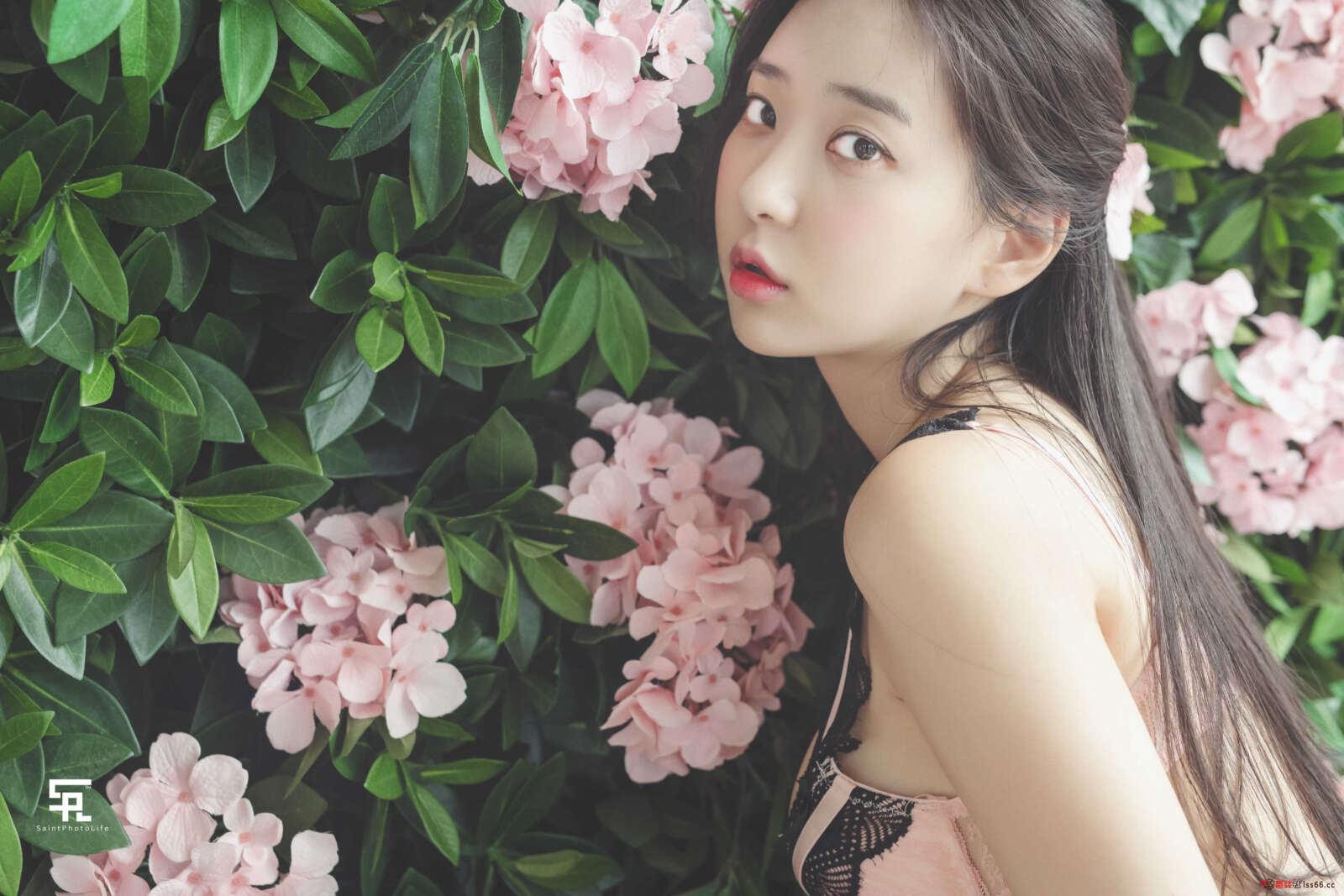 https://www.lss77.com/wp-content/uploads/2021/04/R-1-99-1600x1067.jpg
