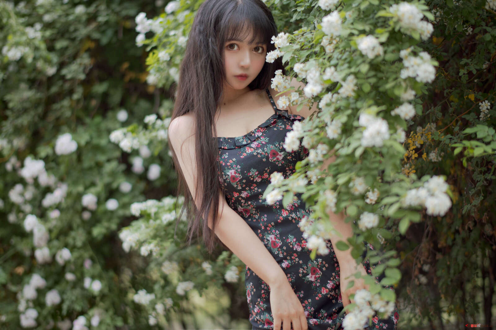 https://www.lss77.com/wp-content/uploads/2021/04/R-10-139-1600x1064.jpg