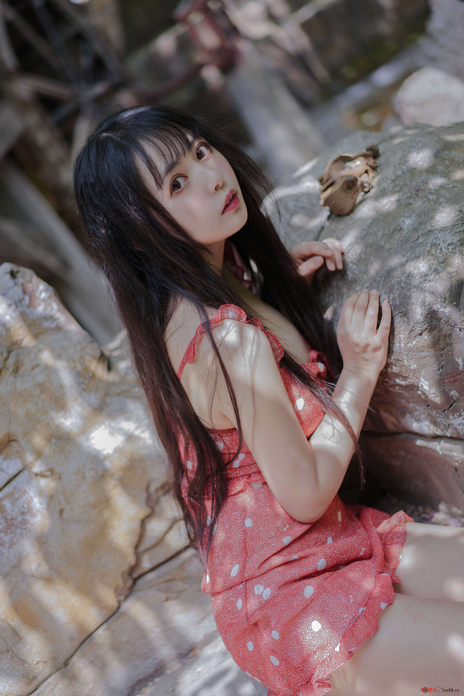 https://www.lss77.com/wp-content/uploads/2021/04/R-10-238-1600x2398.jpg