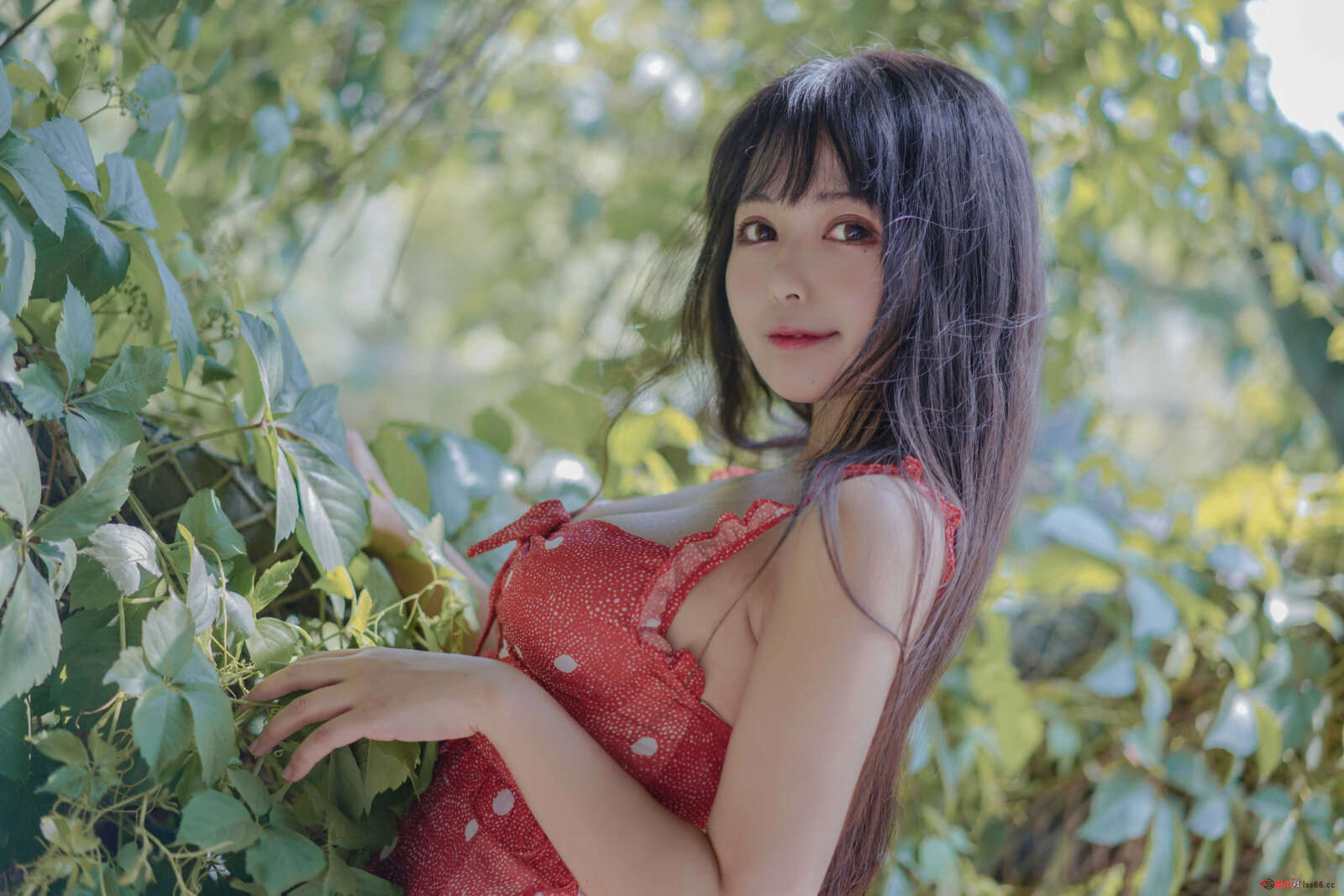 https://www.lss77.com/wp-content/uploads/2021/04/R-11-223-1600x1067.jpg