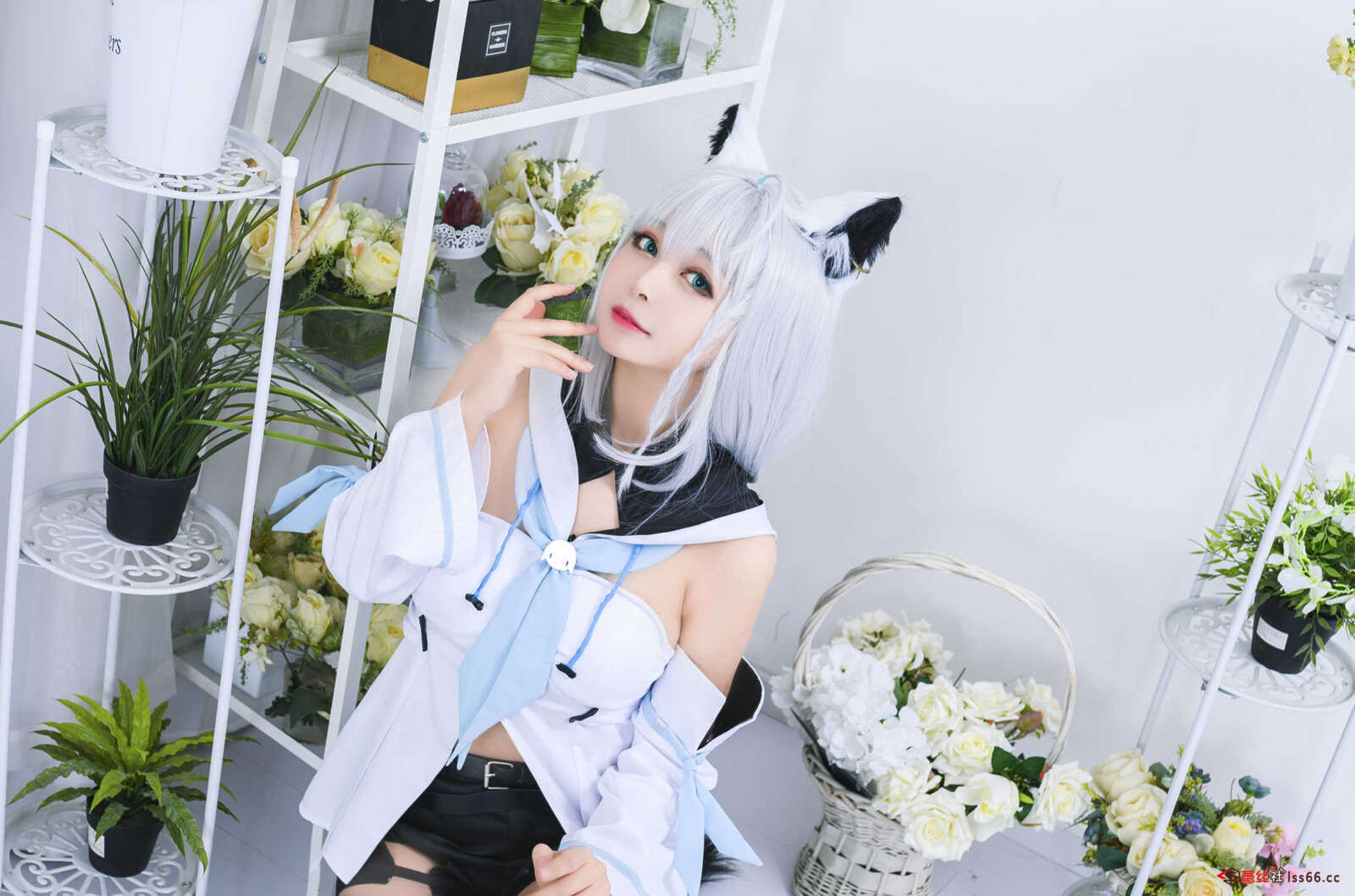 https://www.lss77.com/wp-content/uploads/2021/04/R-11-294-1600x1058.jpg