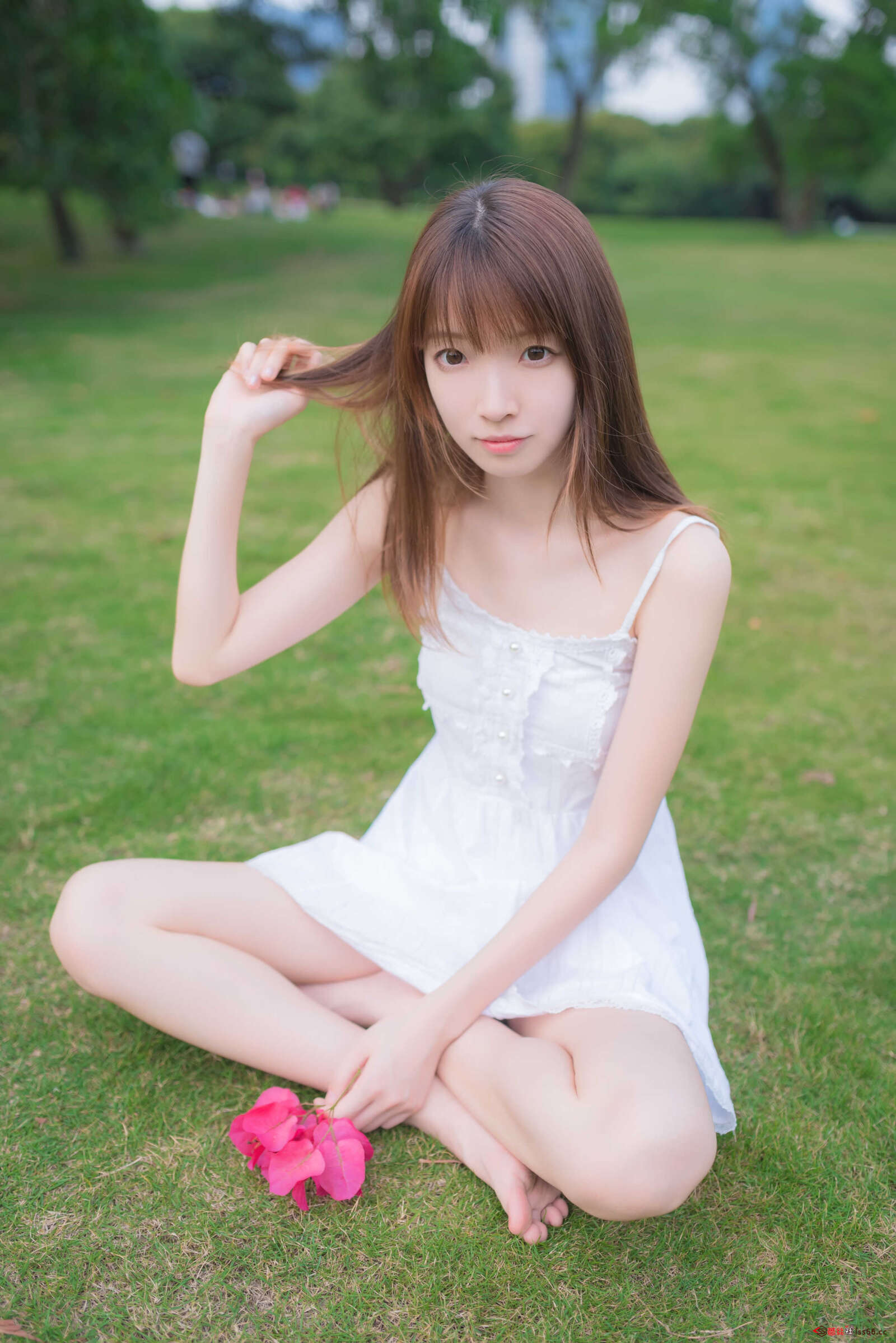 https://www.lss77.com/wp-content/uploads/2021/04/R-12-117-1600x2397.jpg