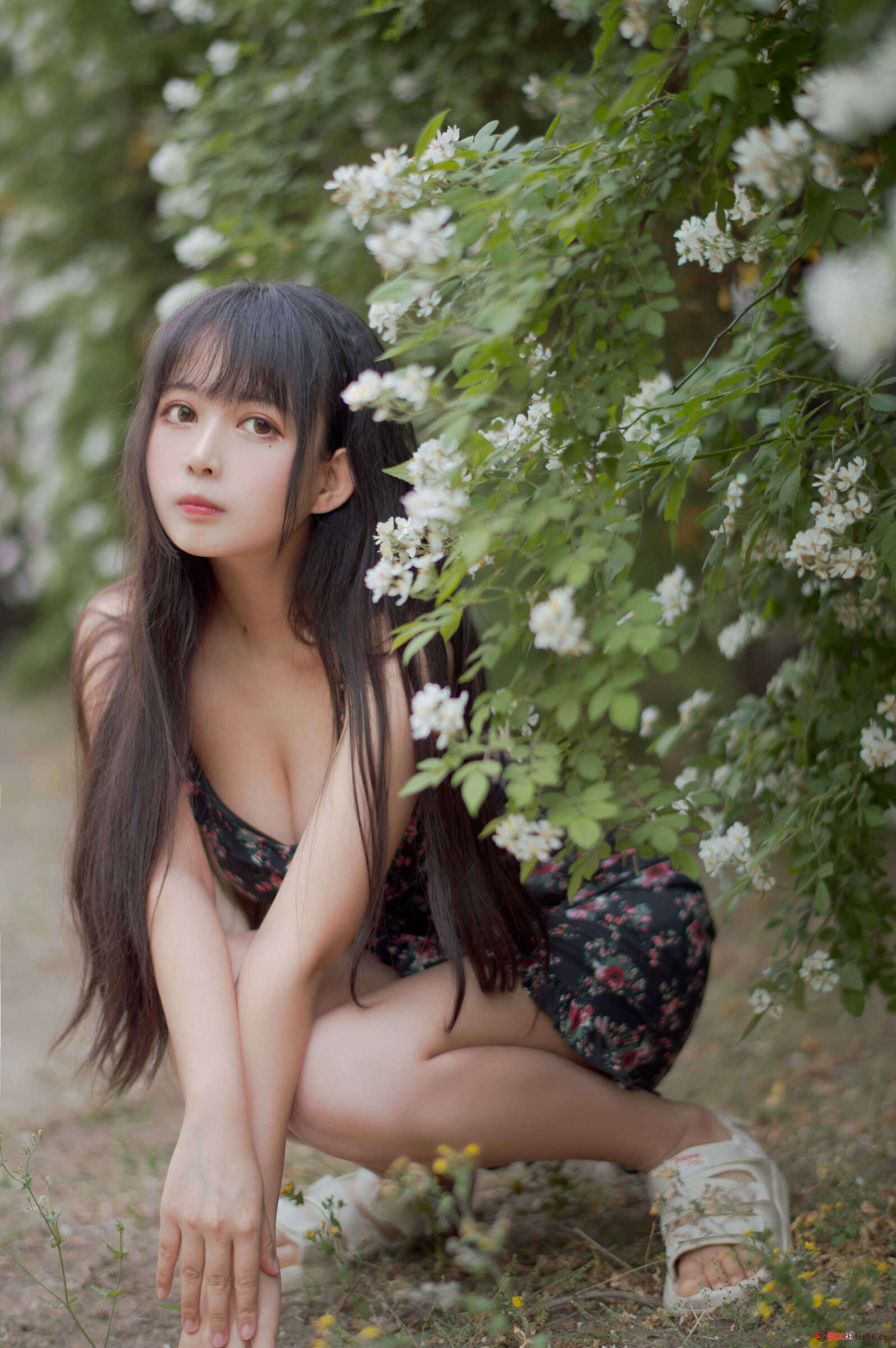 https://www.lss77.com/wp-content/uploads/2021/04/R-12-125-1596x2400.jpg