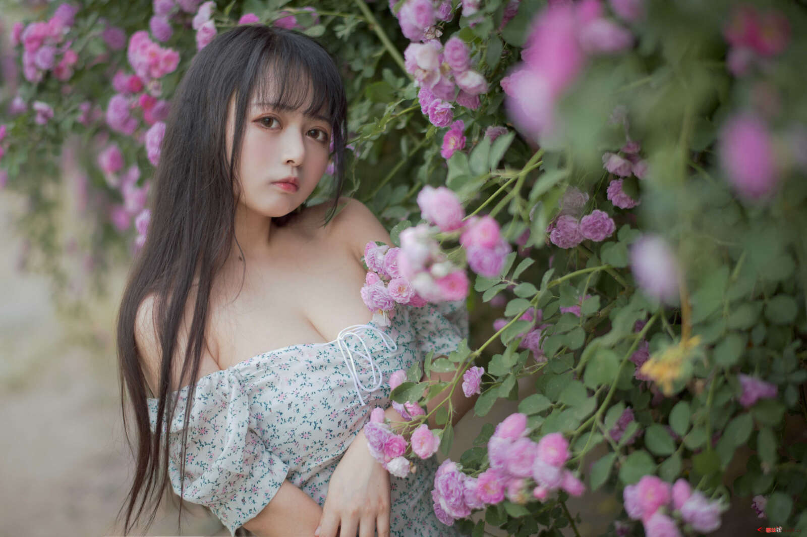 https://www.lss77.com/wp-content/uploads/2021/04/R-12-317-1600x1064.jpg