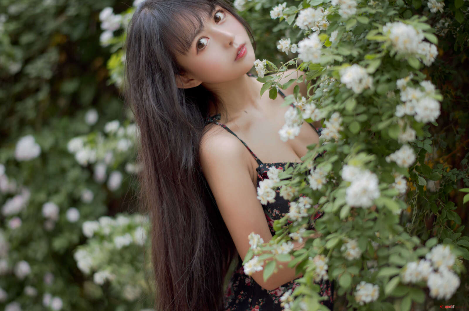 https://www.lss77.com/wp-content/uploads/2021/04/R-13-121-1600x1064.jpg