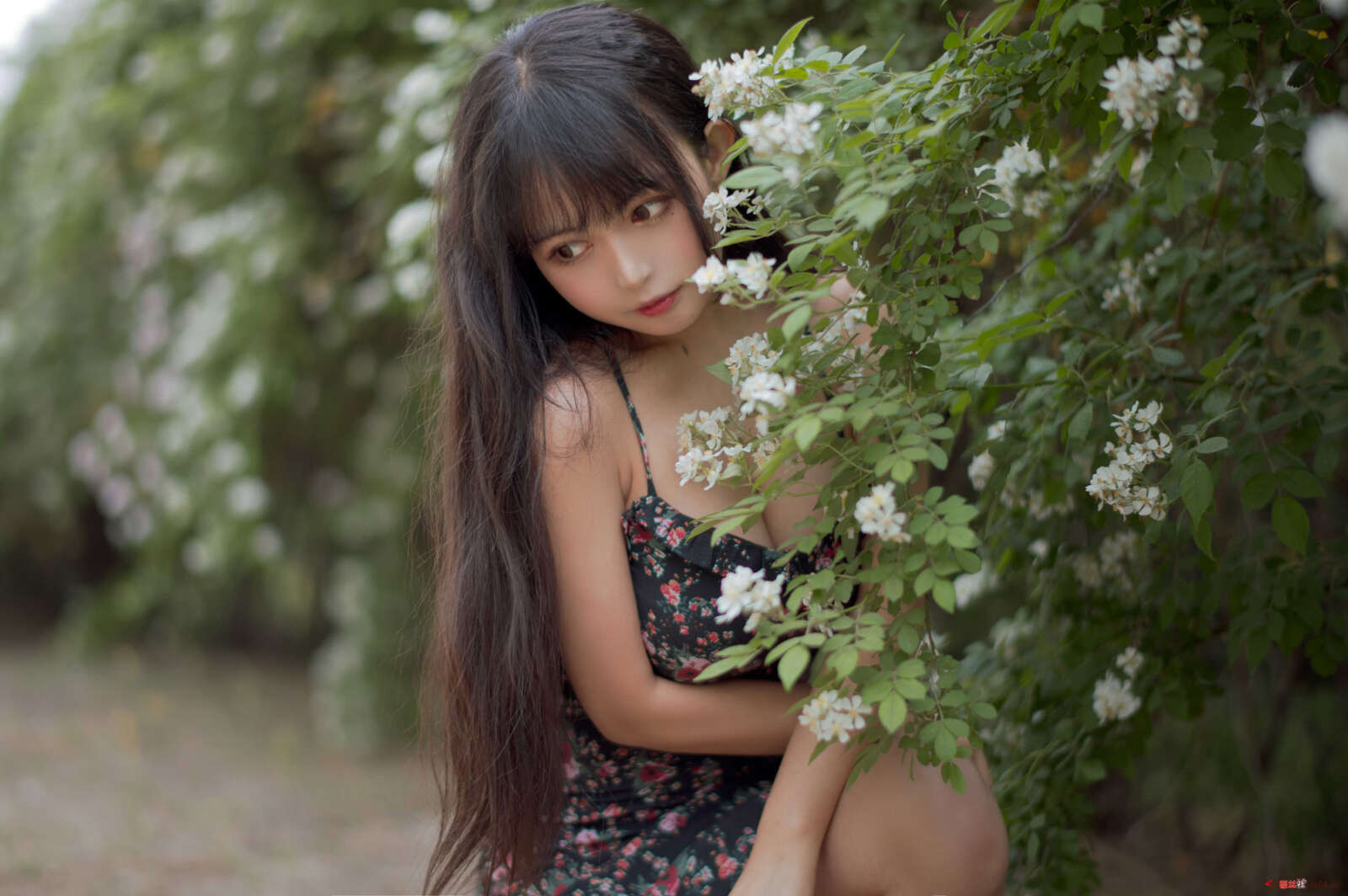 https://www.lss77.com/wp-content/uploads/2021/04/R-14-116-1600x1064.jpg
