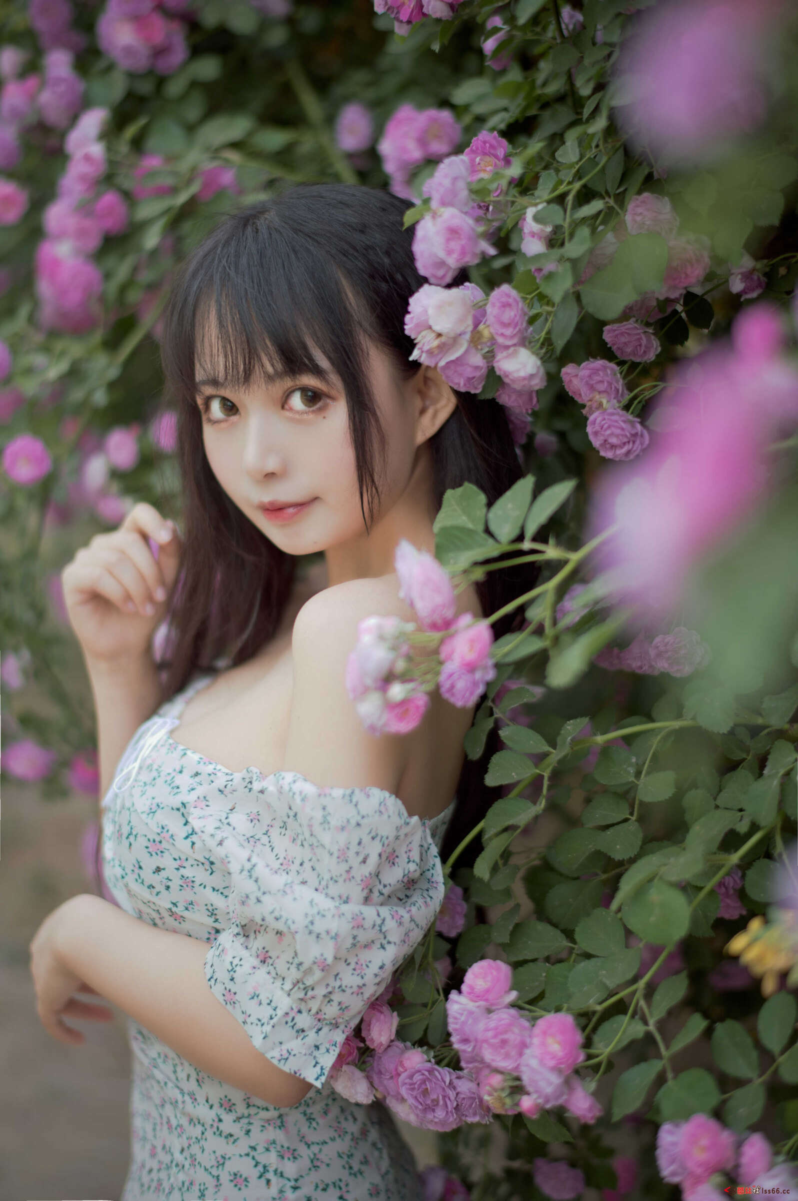 https://www.lss77.com/wp-content/uploads/2021/04/R-15-265-1596x2400.jpg