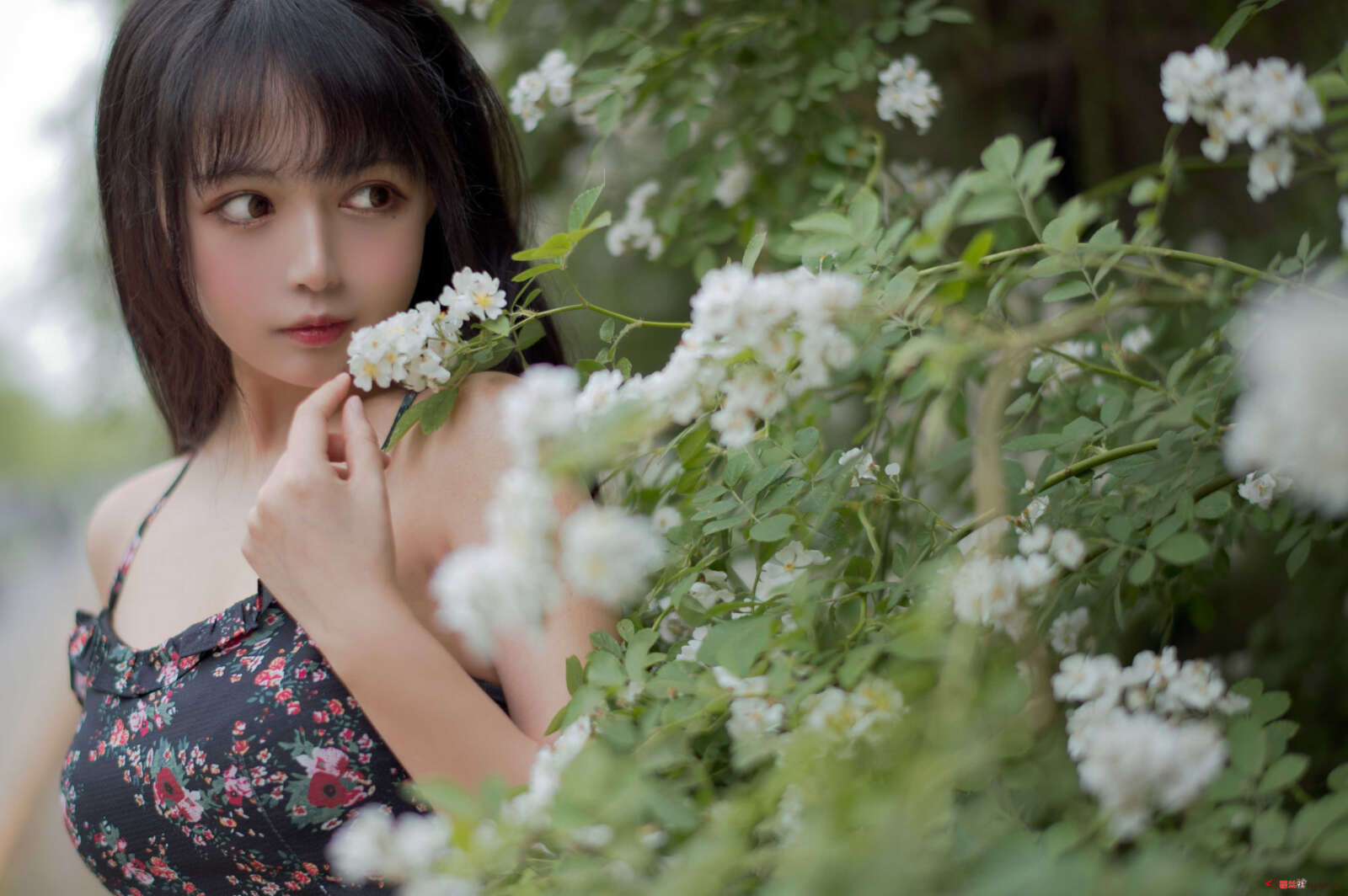https://www.lss77.com/wp-content/uploads/2021/04/R-16-105-1600x1064.jpg