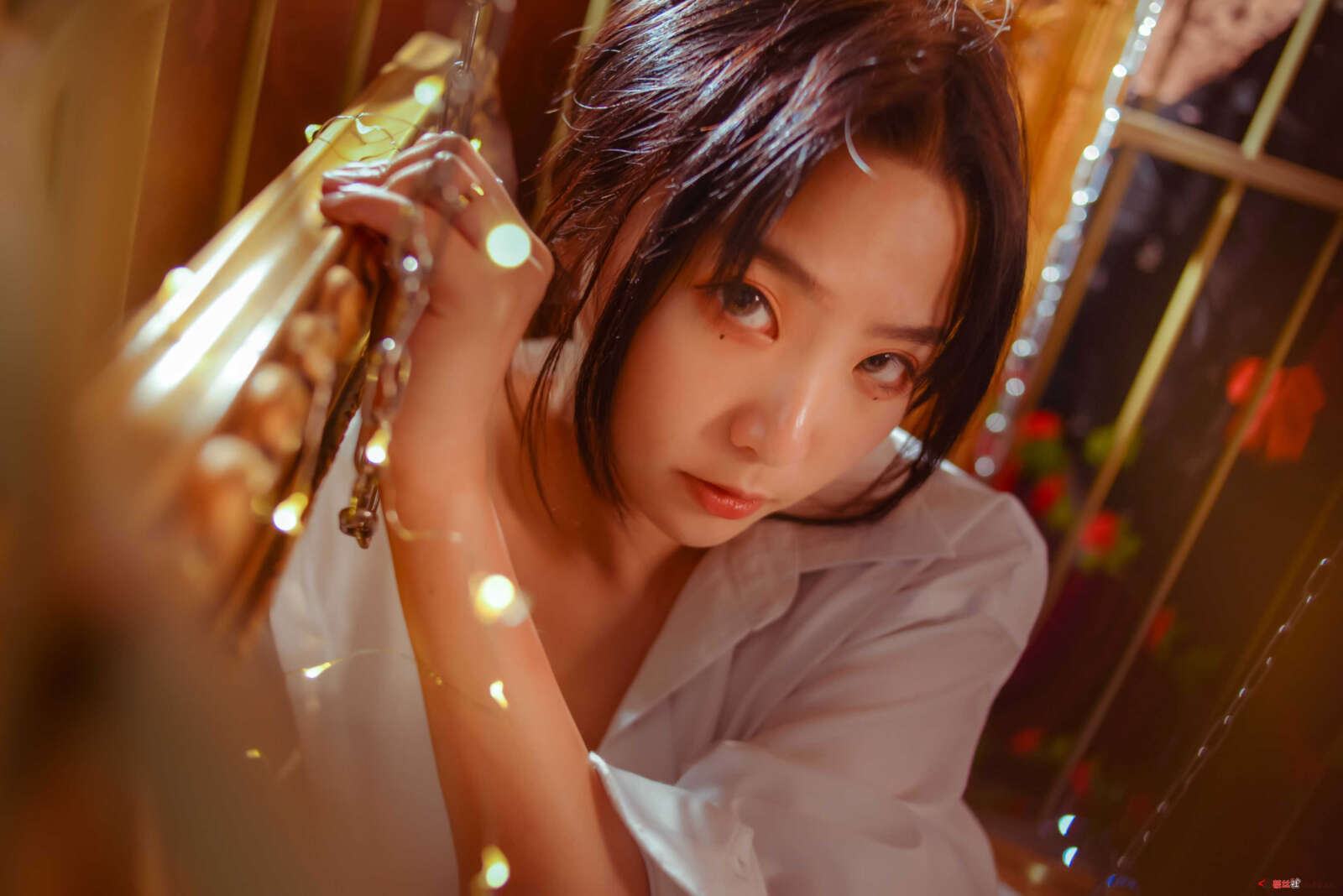 https://www.lss77.com/wp-content/uploads/2021/04/R-16-156-1600x1068.jpg