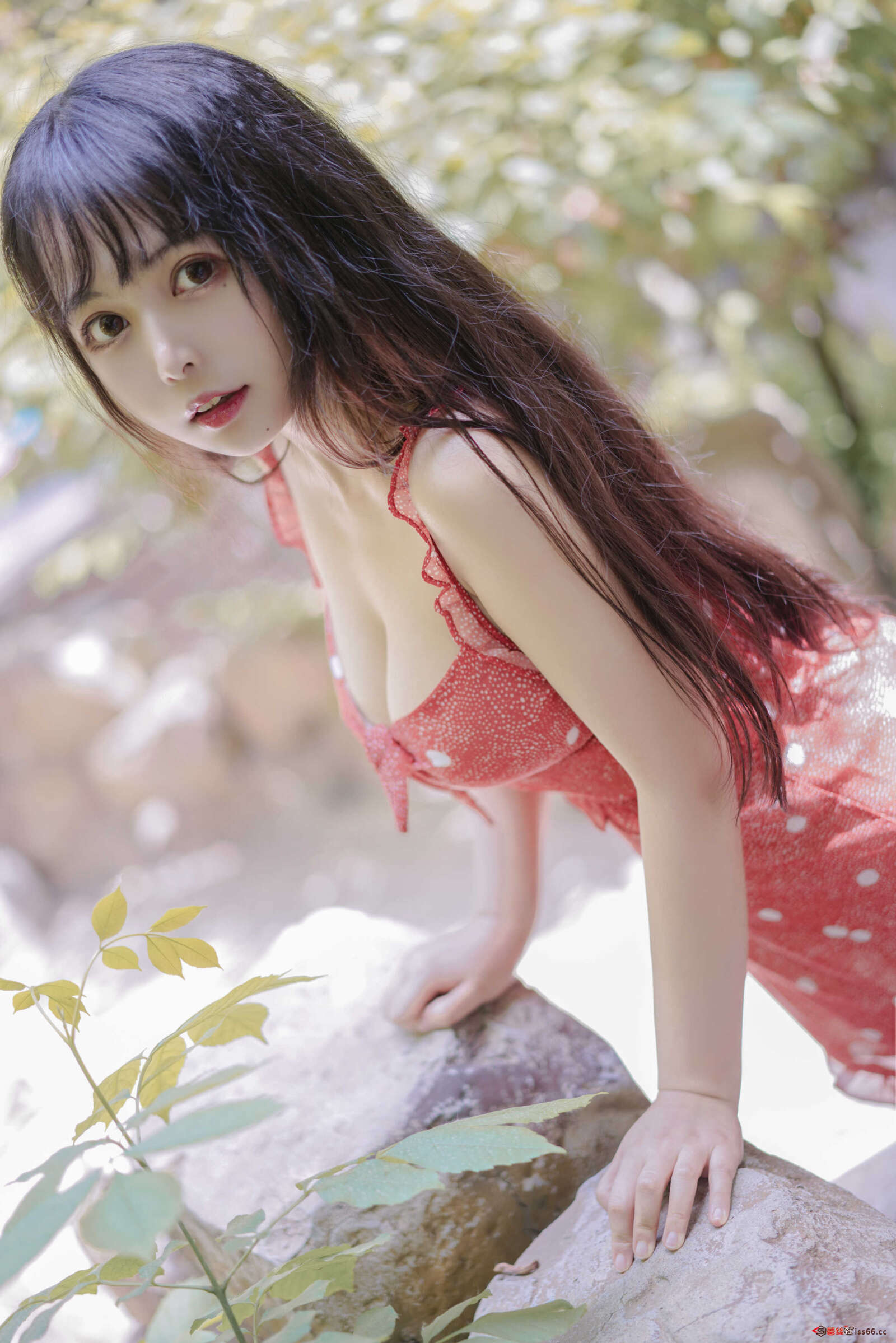 https://www.lss77.com/wp-content/uploads/2021/04/R-16-167-1600x2398.jpg