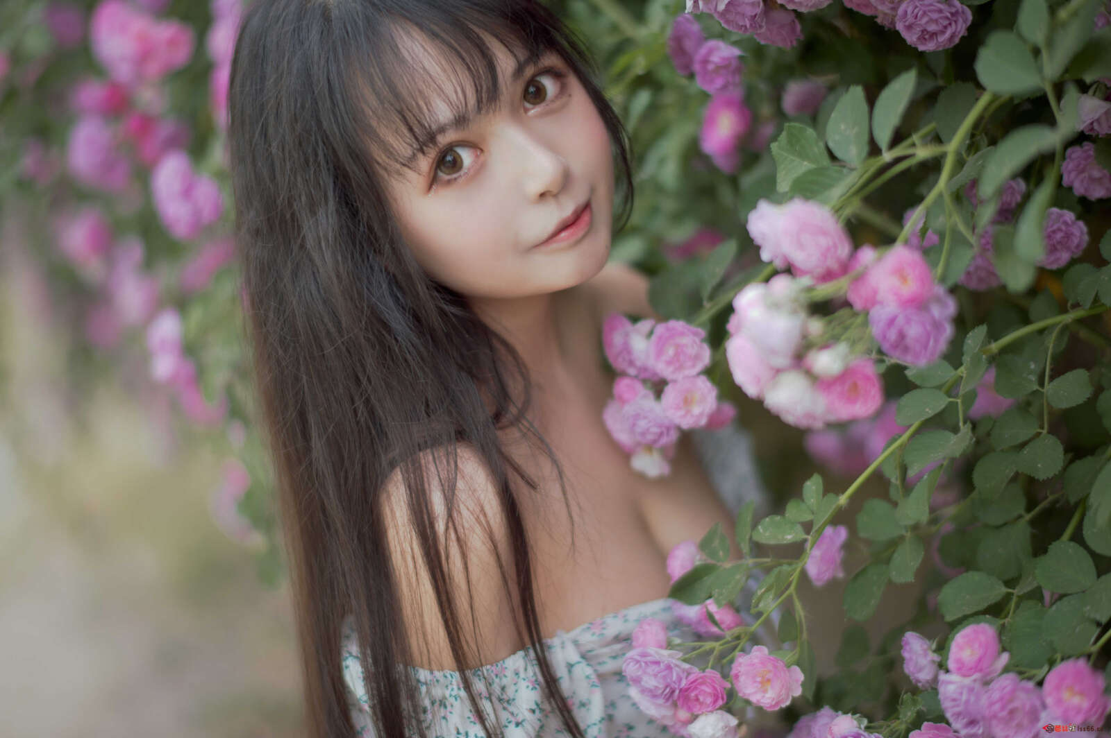 https://www.lss77.com/wp-content/uploads/2021/04/R-16-251-1600x1064.jpg