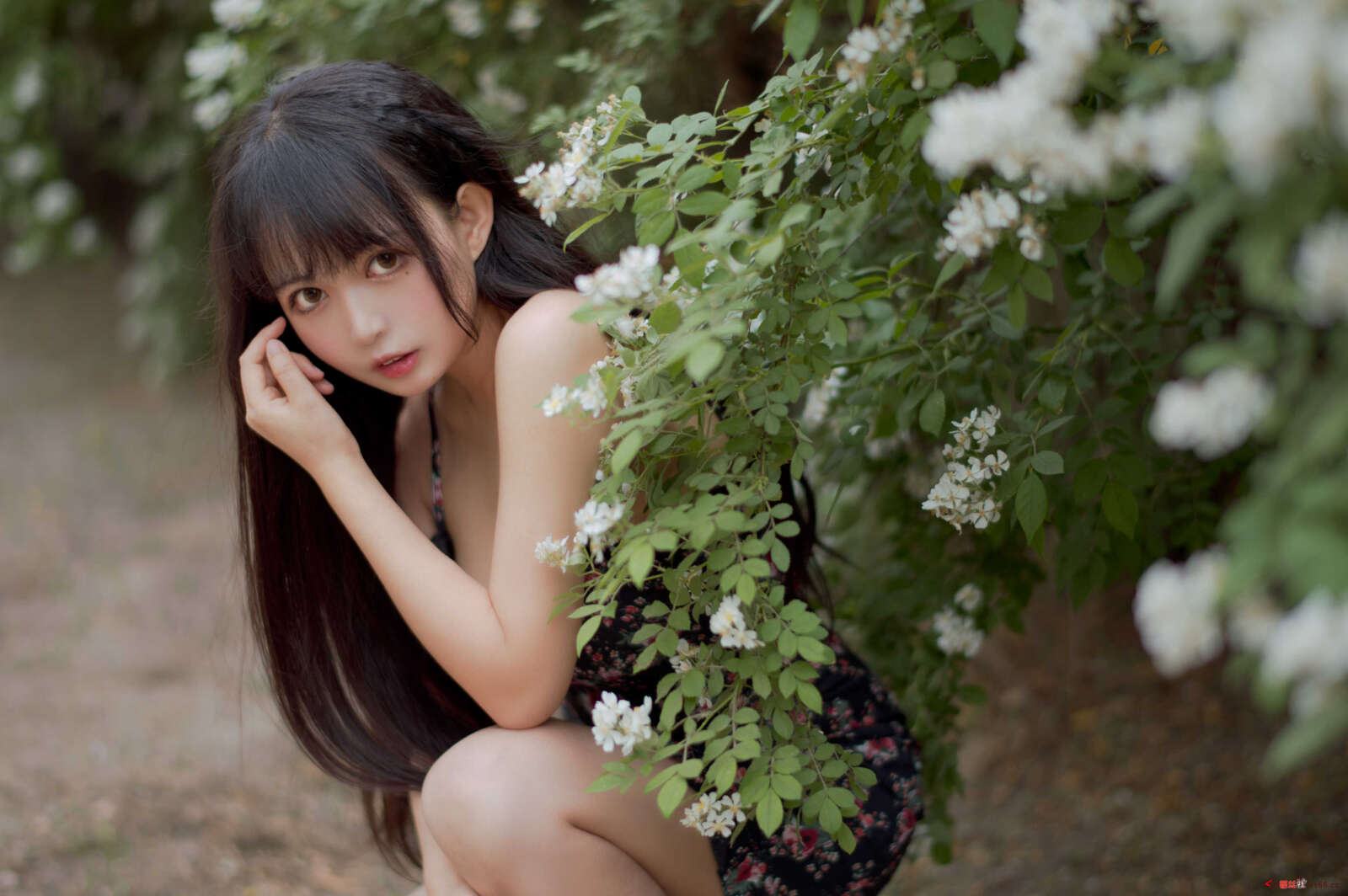 https://www.lss77.com/wp-content/uploads/2021/04/R-17-100-1600x1064.jpg