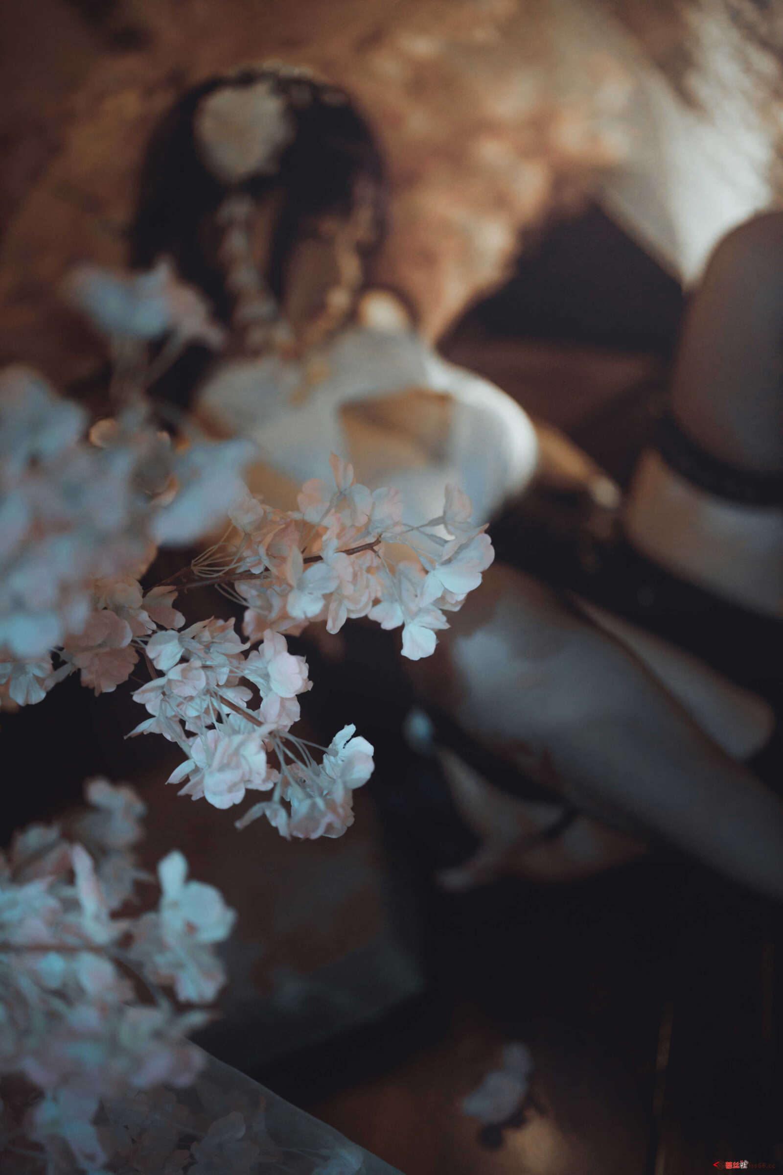https://www.lss77.com/wp-content/uploads/2021/04/R-18-176-1600x2400.jpg