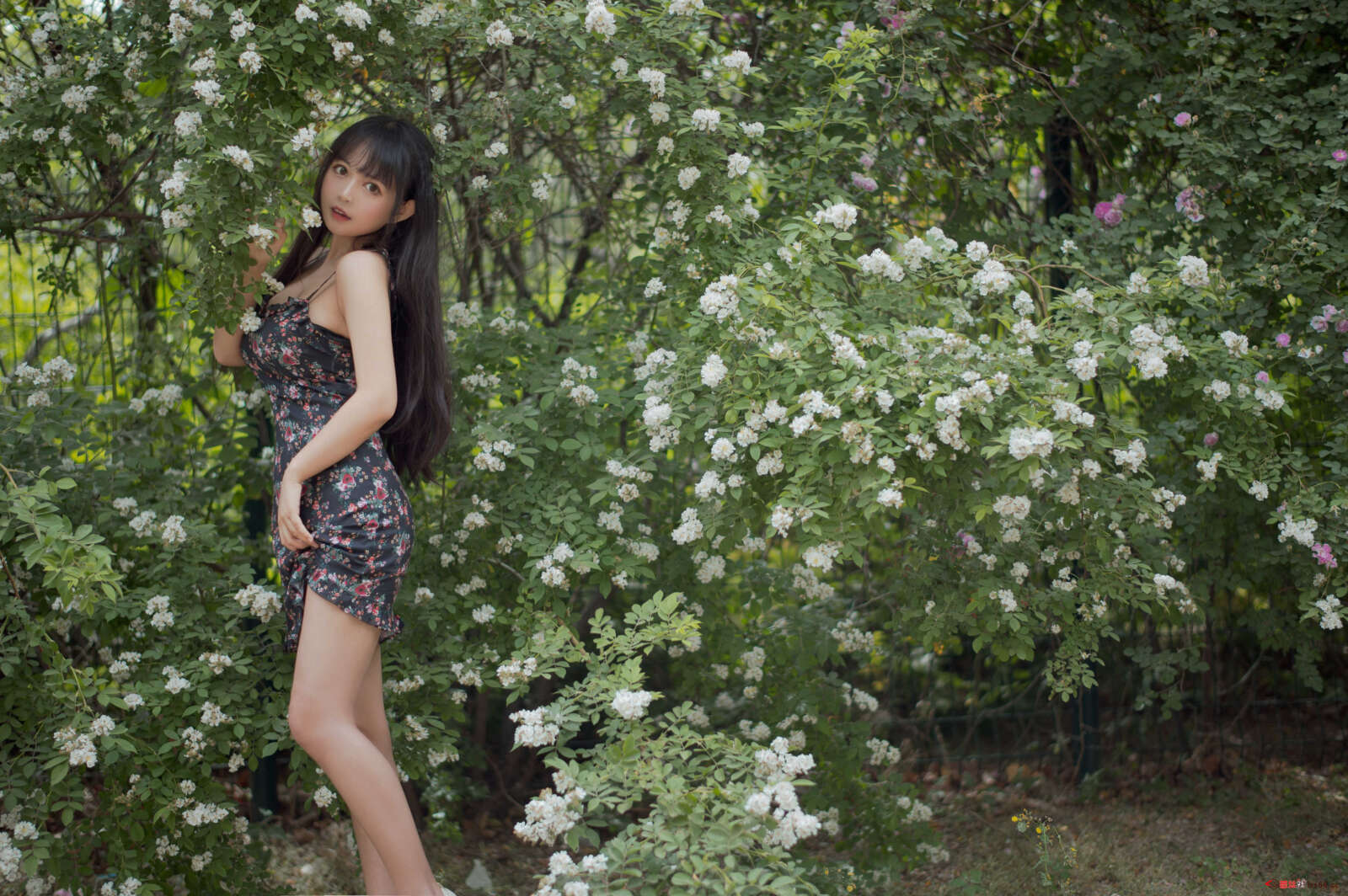 https://www.lss77.com/wp-content/uploads/2021/04/R-2-170-1600x1064.jpg