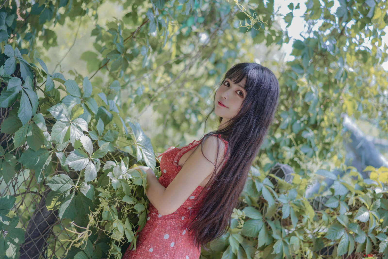 https://www.lss77.com/wp-content/uploads/2021/04/R-2-292-1600x1067.jpg