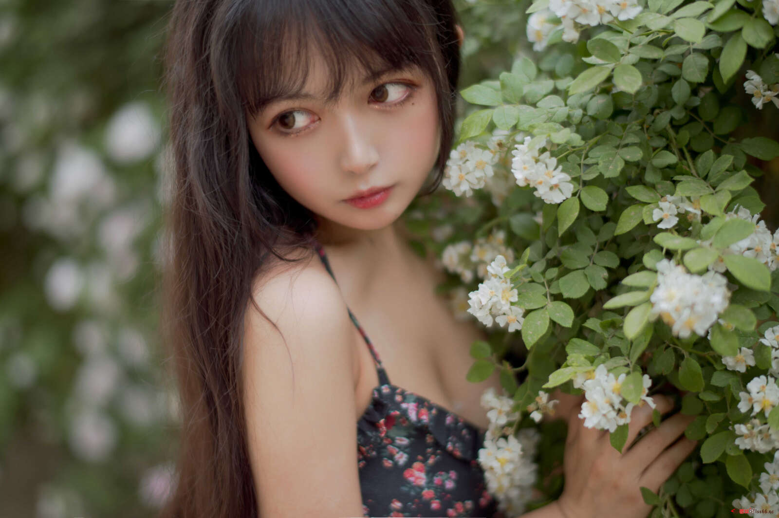 https://www.lss77.com/wp-content/uploads/2021/04/R-20-83-1600x1064.jpg