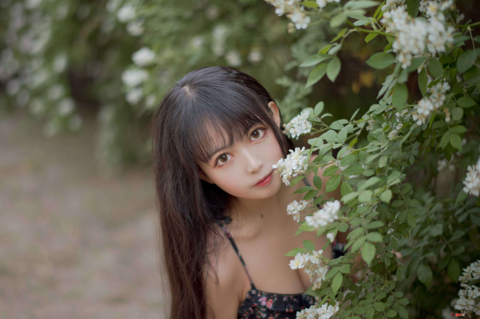 https://www.lss77.com/wp-content/uploads/2021/04/R-21-74-1600x1064.jpg