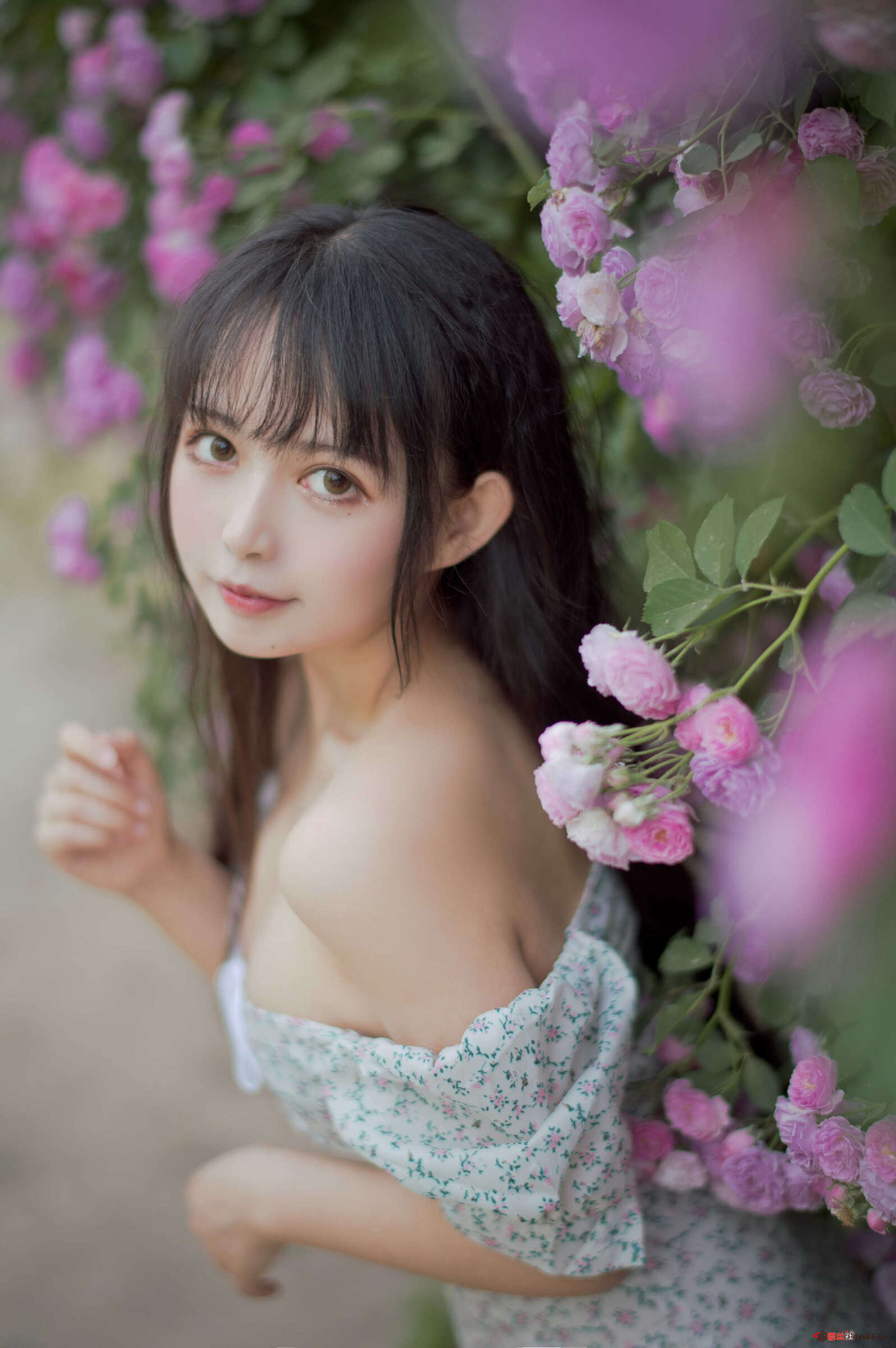 https://www.lss77.com/wp-content/uploads/2021/04/R-22-172-1596x2400.jpg