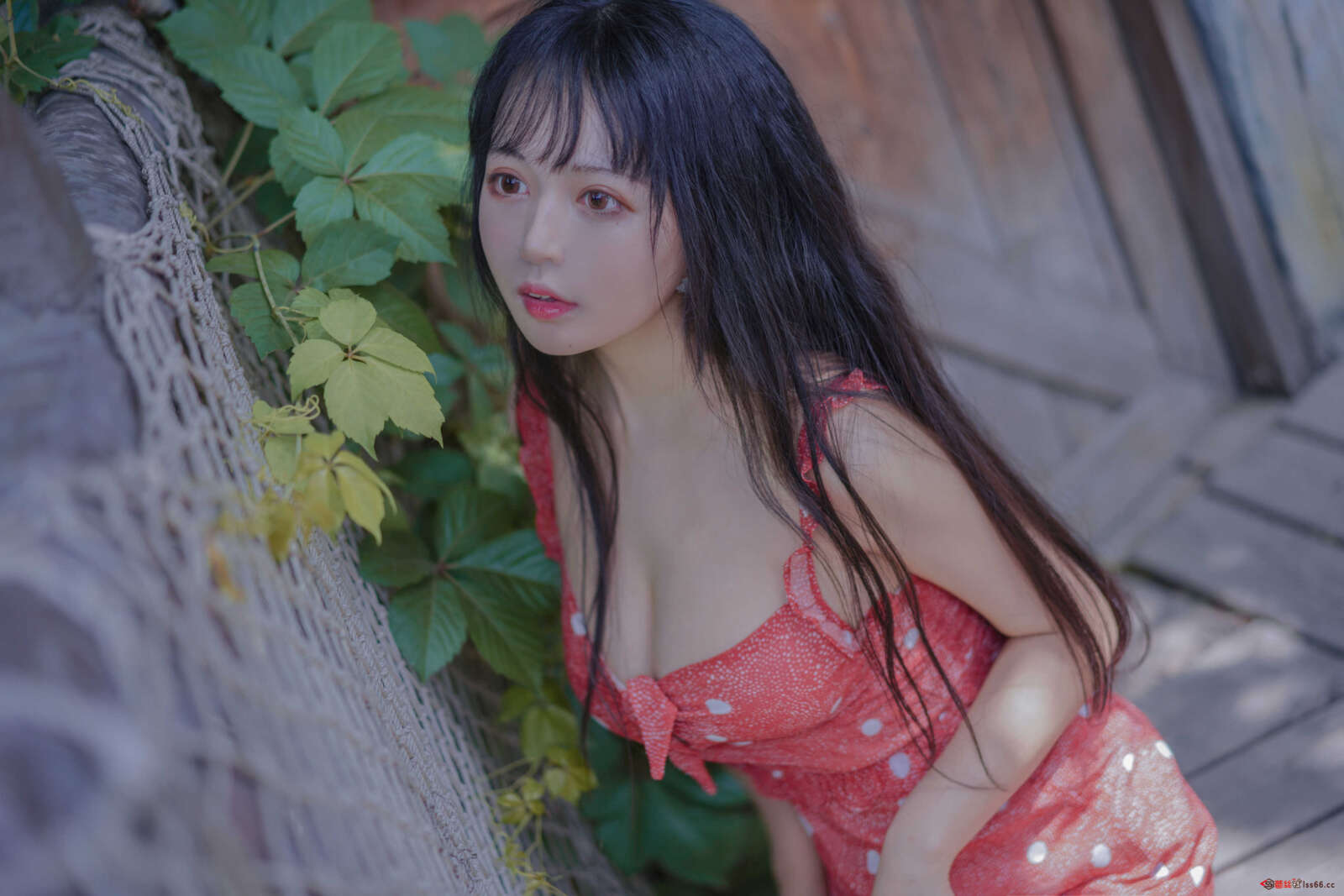 https://www.lss77.com/wp-content/uploads/2021/04/R-23-109-1600x1067.jpg