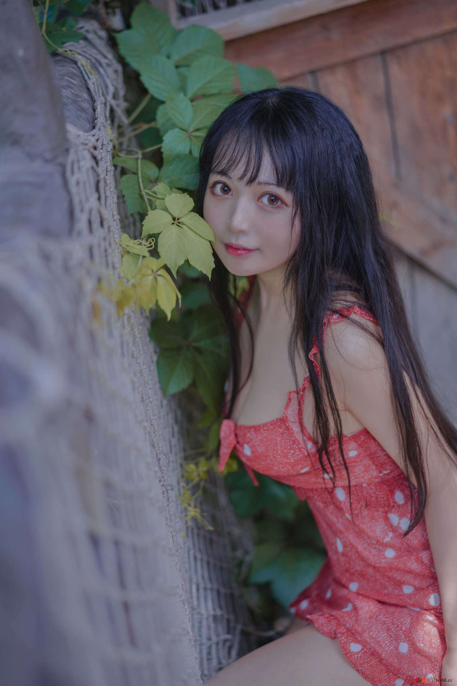https://www.lss77.com/wp-content/uploads/2021/04/R-24-102-1600x2398.jpg